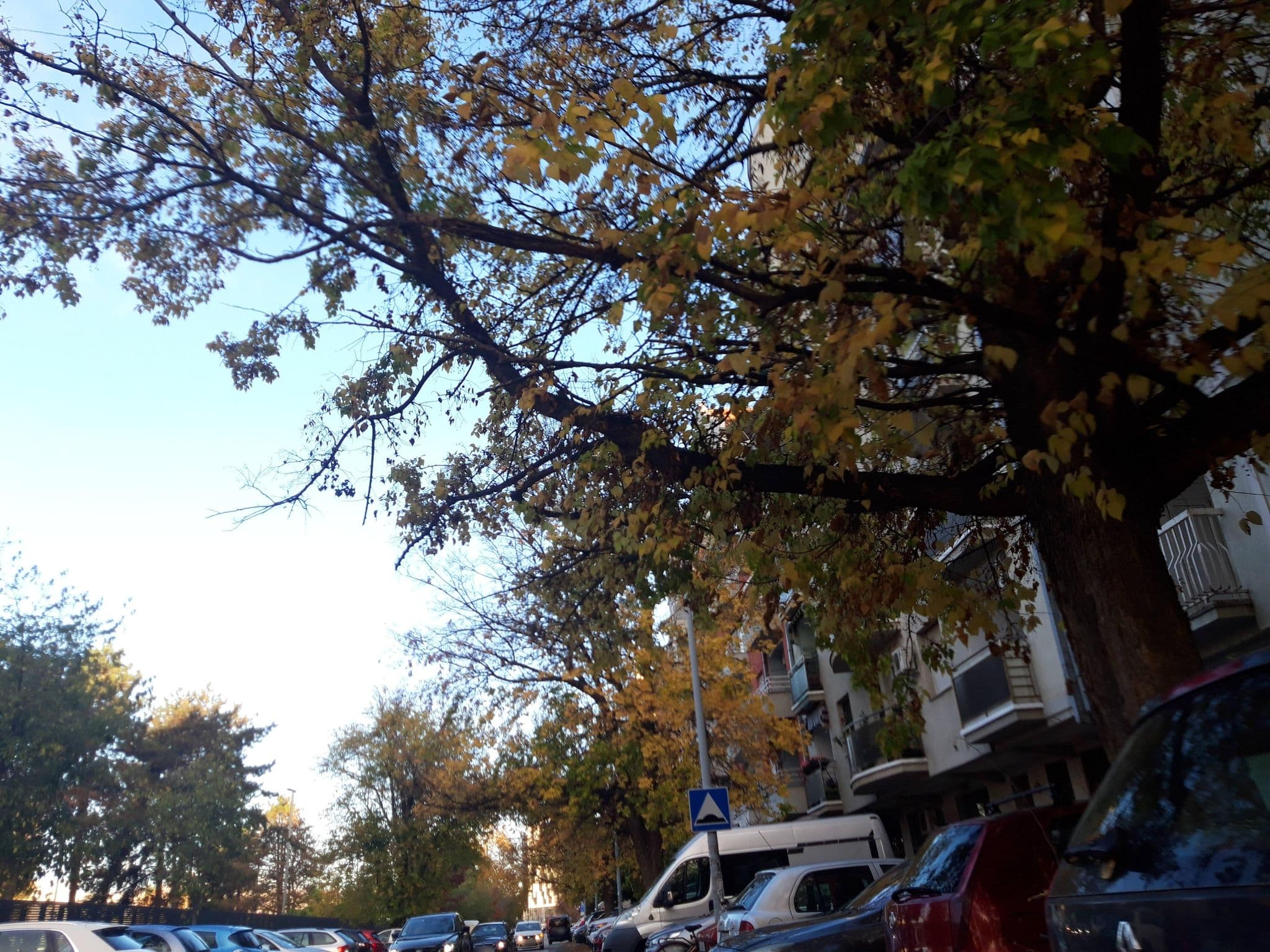 Street view near city passage apartments 2, Novi Sad — © fivewho (CC BY-SA · Mapillary)
