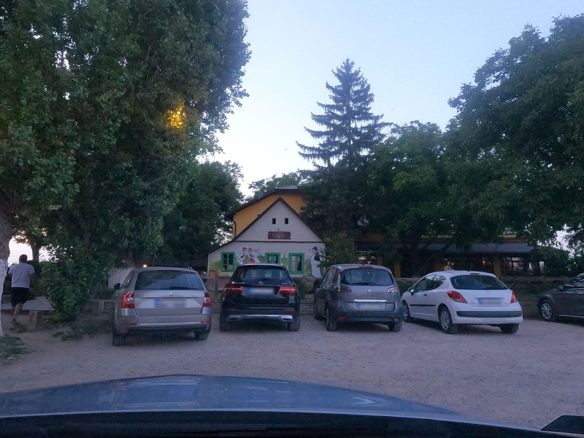Street view near Salaš Stojšić, Beška — © borovac (CC BY-SA · Mapillary)