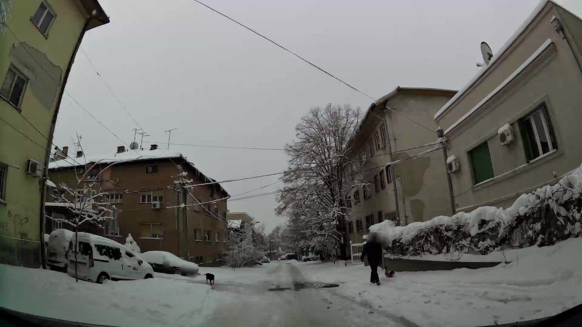 Street view near Hostel Le Jardin, Belgrade — © kaartcam (CC BY-SA · Mapillary)
