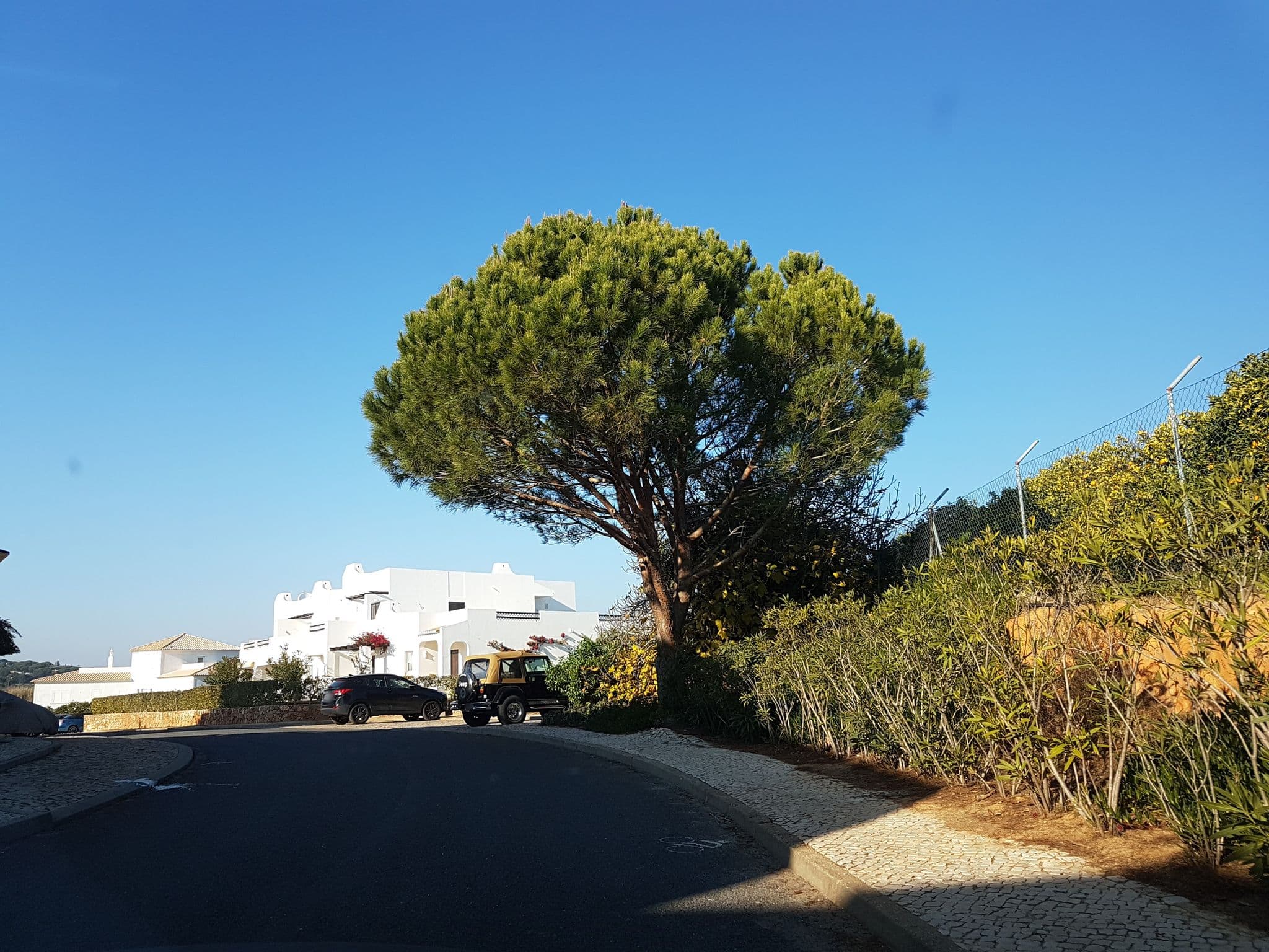 Street view near Apartment 724 - Casa da calma, Olhos de Água — © jopparn (CC BY-SA · Mapillary)