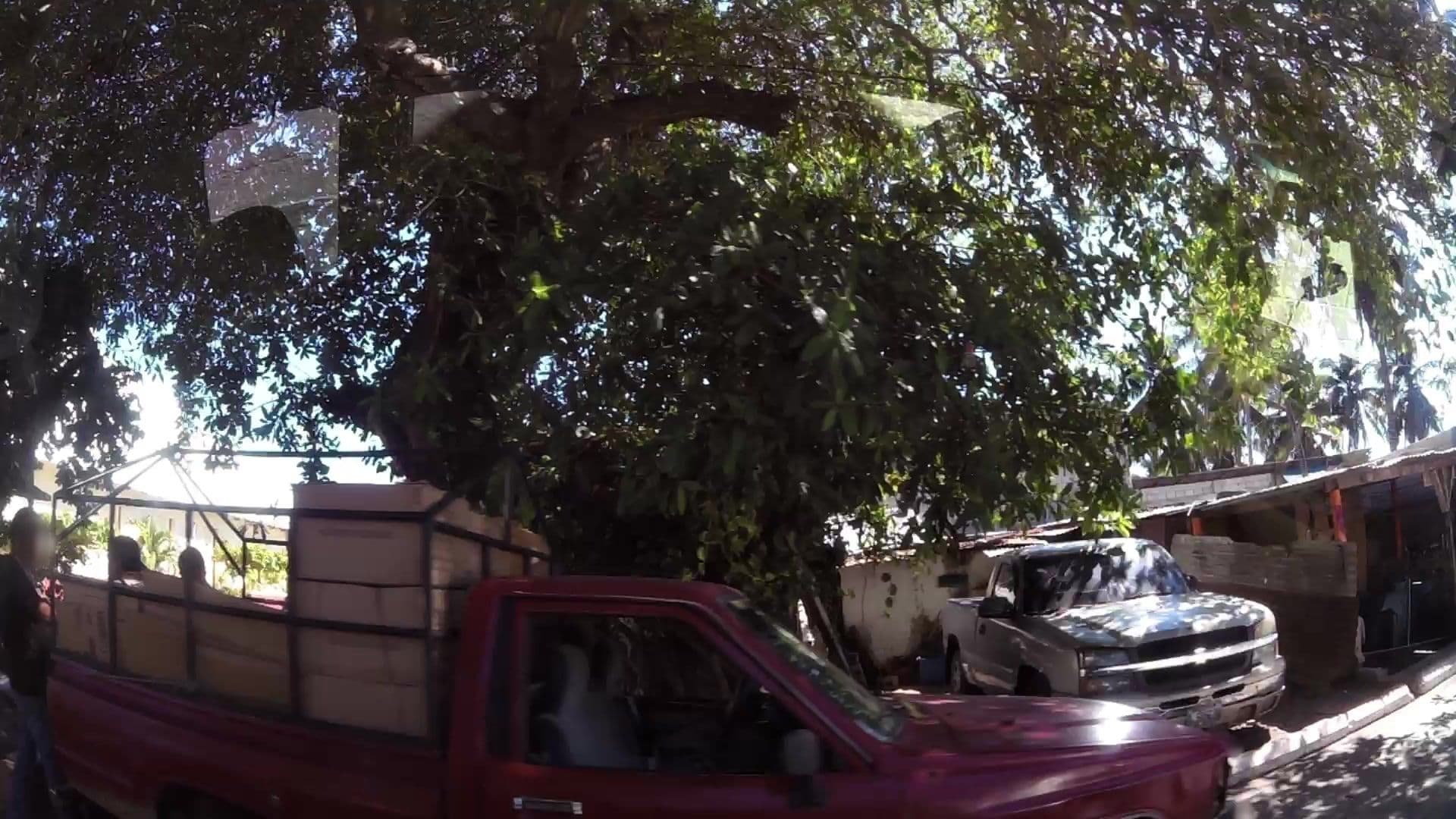 Street view near Surf Shack, Iztapa — © kaartcam (CC BY-SA · Mapillary)
