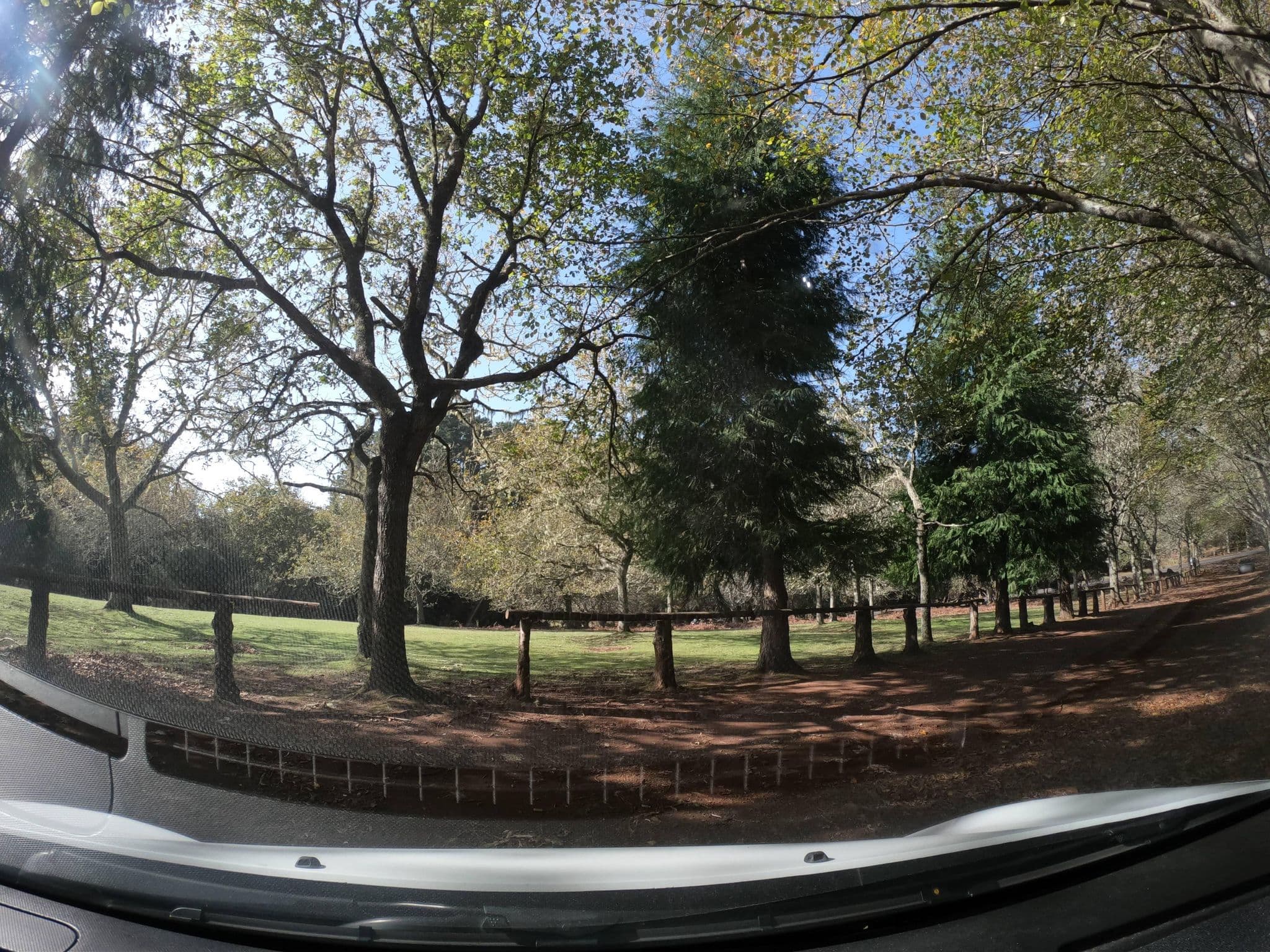 Street view near Chão do Pasto, Camacha — © filipesilva (CC BY-SA · Mapillary)