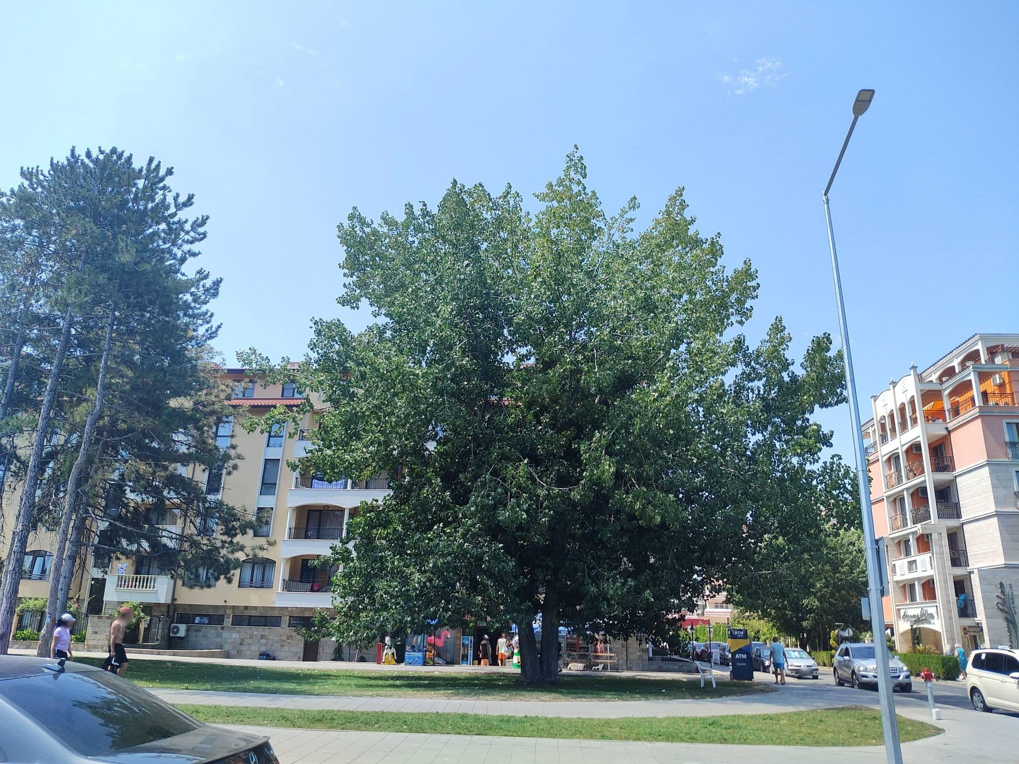Street view near Harmony Palace, Nesebar — © approksimator (CC BY-SA · Mapillary)