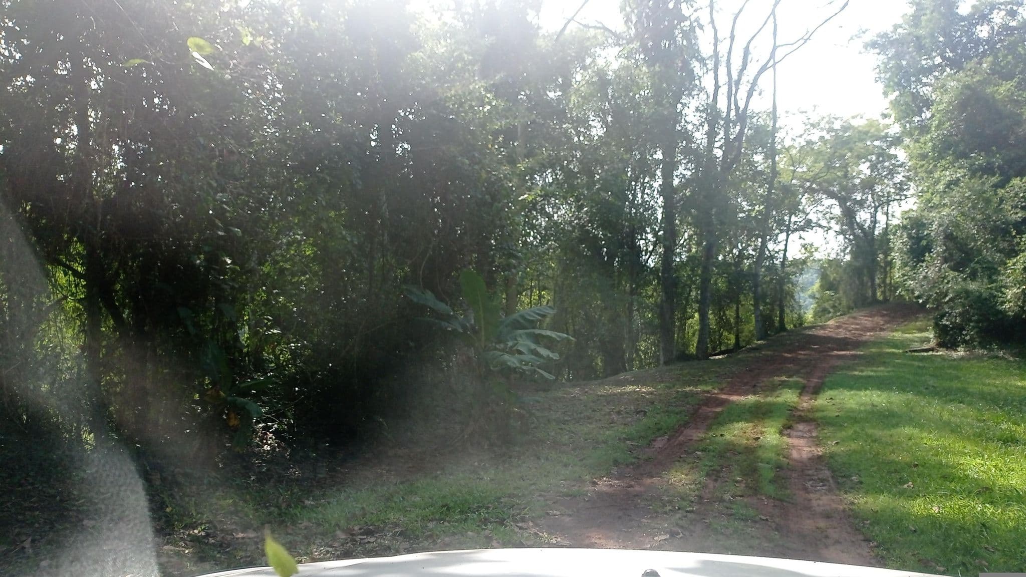 Street view near Cueva Miní Lodge, Puerto Mayor Otaño — © carlosbrys (CC BY-SA · Mapillary)