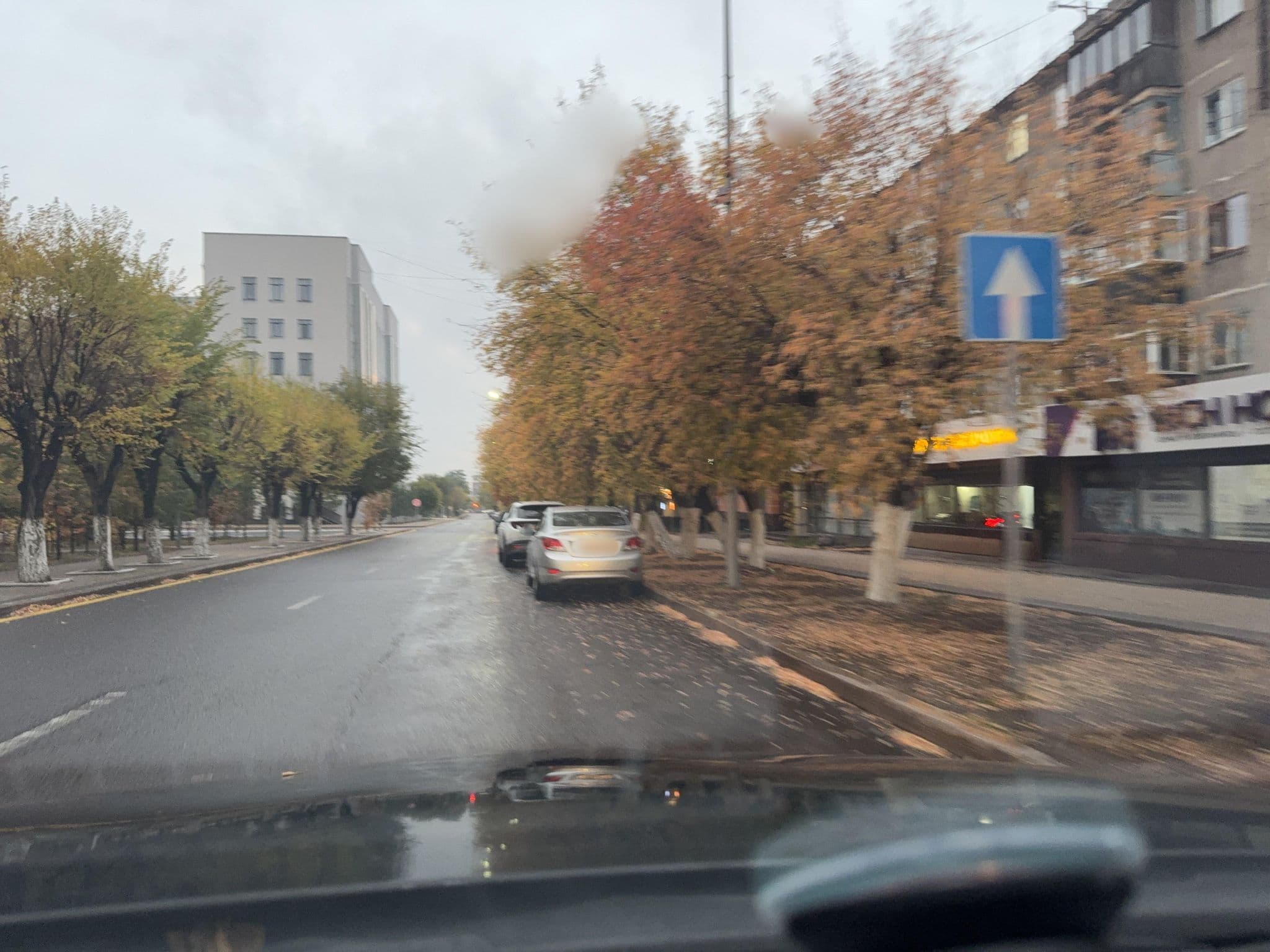 Street view near Ерубаева, 31, Karagandy — © zhasulan (CC BY-SA · Mapillary)