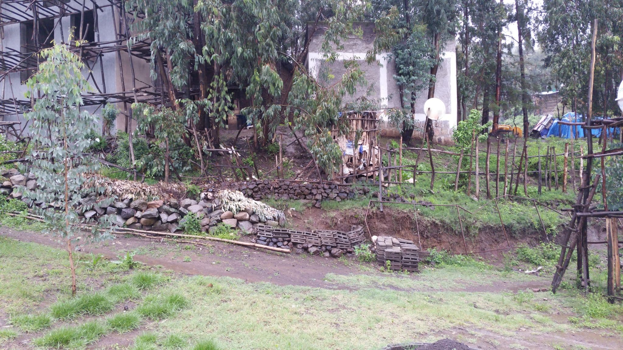 Street view near Mini Lalibela Guest House, Lalibela — © shlublu (CC BY-SA · Mapillary)