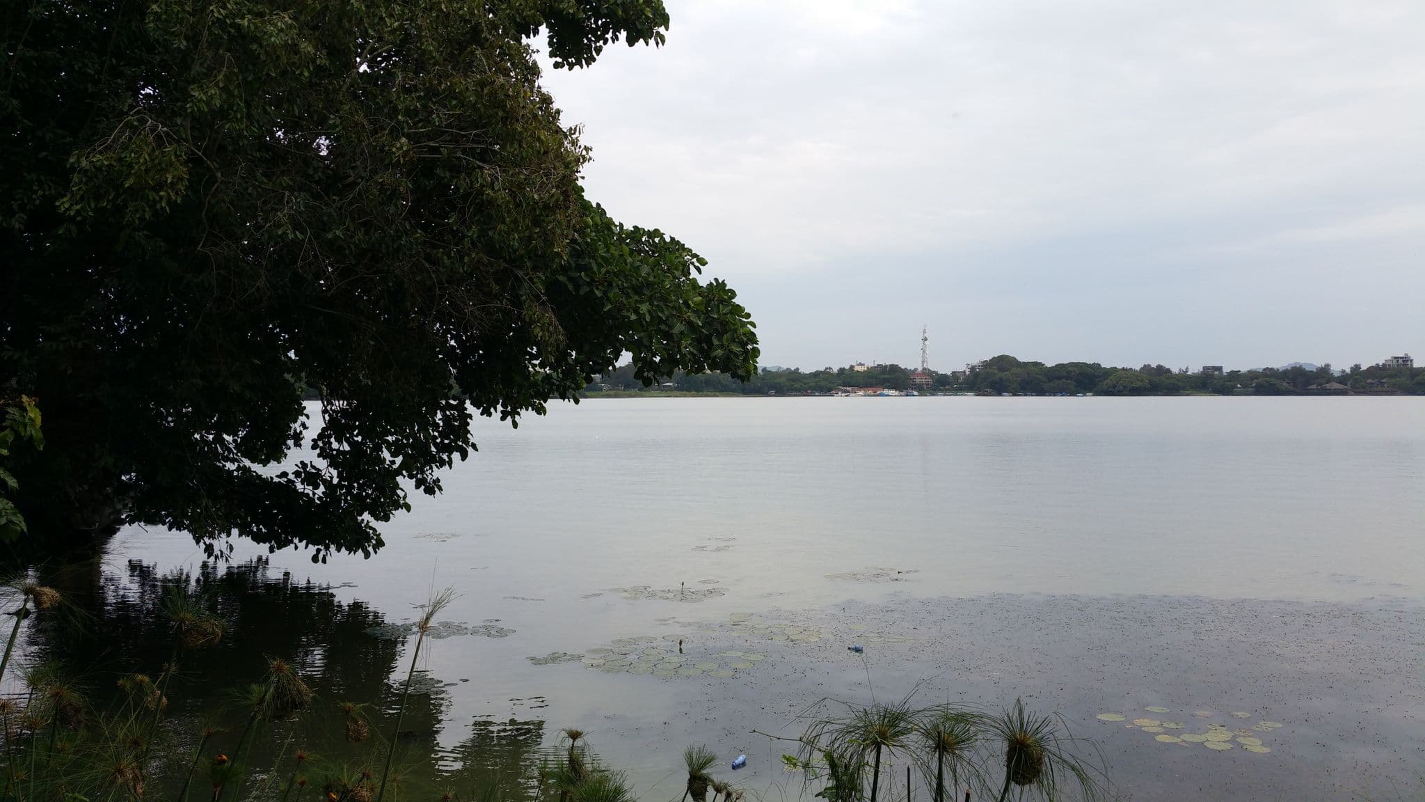 Street view near Lake Tana Resort, Bahir Dar — © shlublu (CC BY-SA · Mapillary)