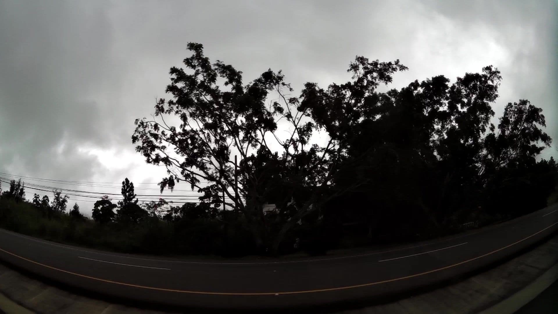 Street view near La Jungla Experience, Alto Boquete — © kaartcam (CC BY-SA · Mapillary)