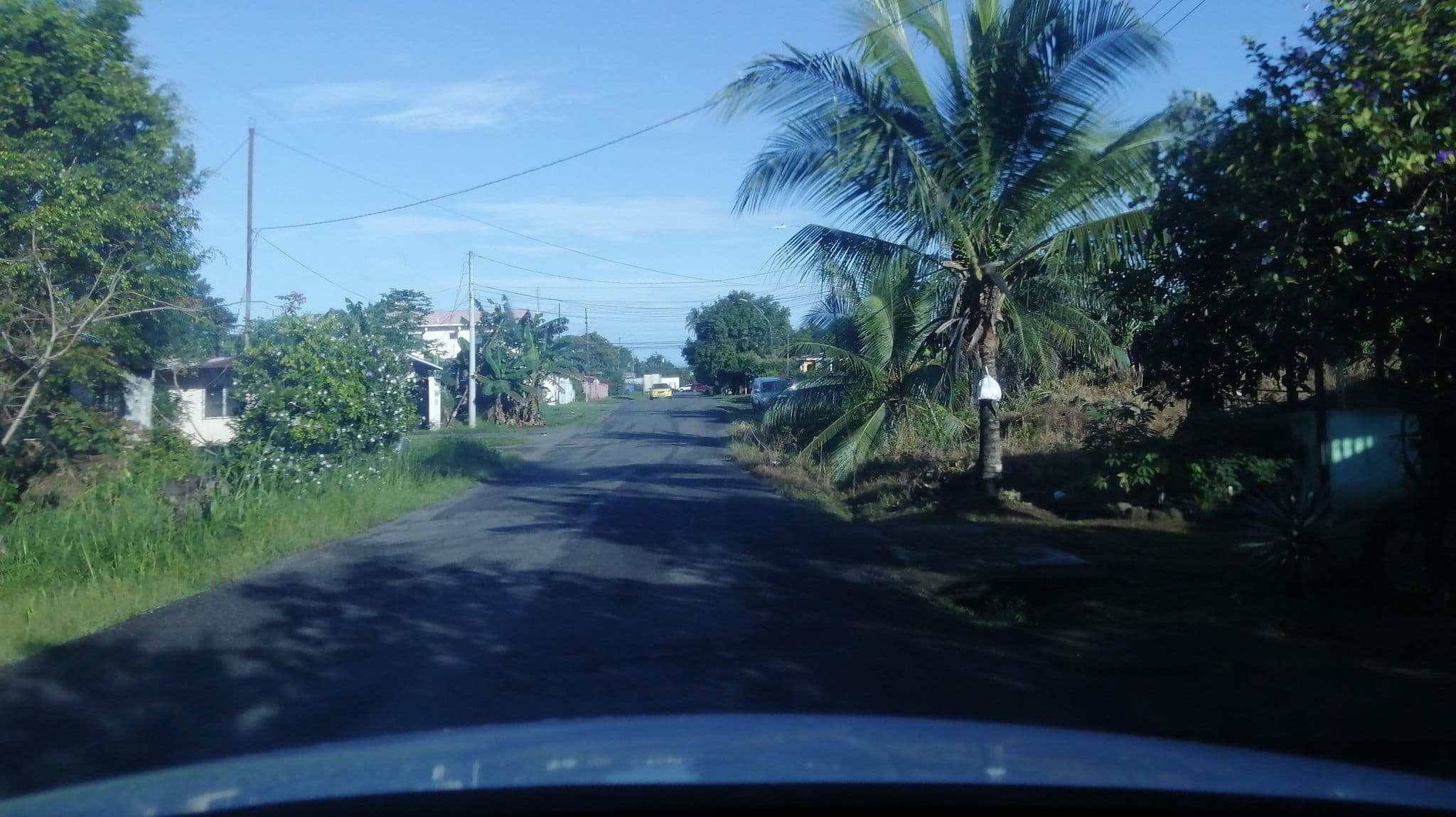 Street view near Hostel Shanti, David — © alvarado2510 (CC BY-SA · Mapillary)