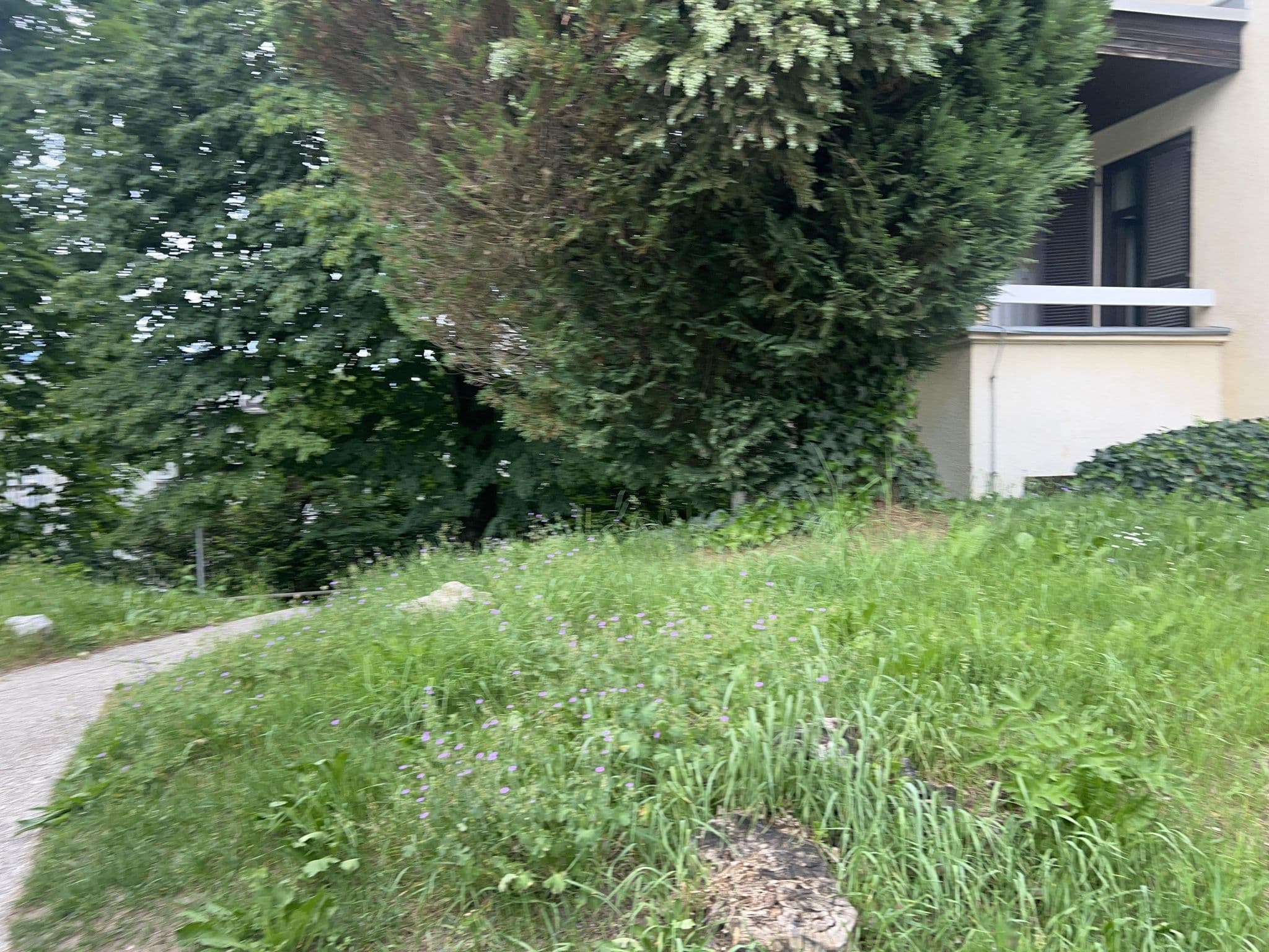 Street view near Chozo Temporal En Bled, Bled — © igorzo (CC BY-SA · Mapillary)