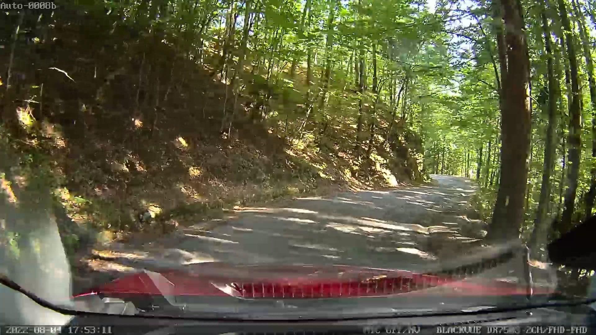 Street view near Villa Edelweis, Kranjska Gora — © rdnnk (CC BY-SA · Mapillary)