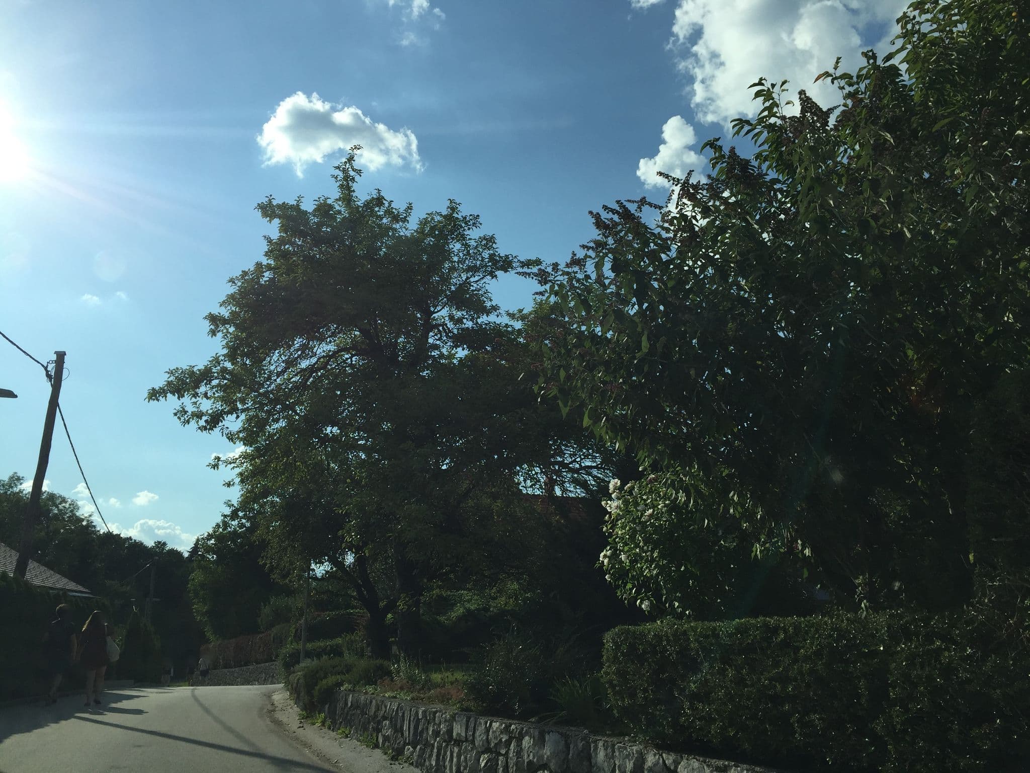 Street view near Apartmaji - Sobe Renata, Bled — © richlv (CC BY-SA · Mapillary)