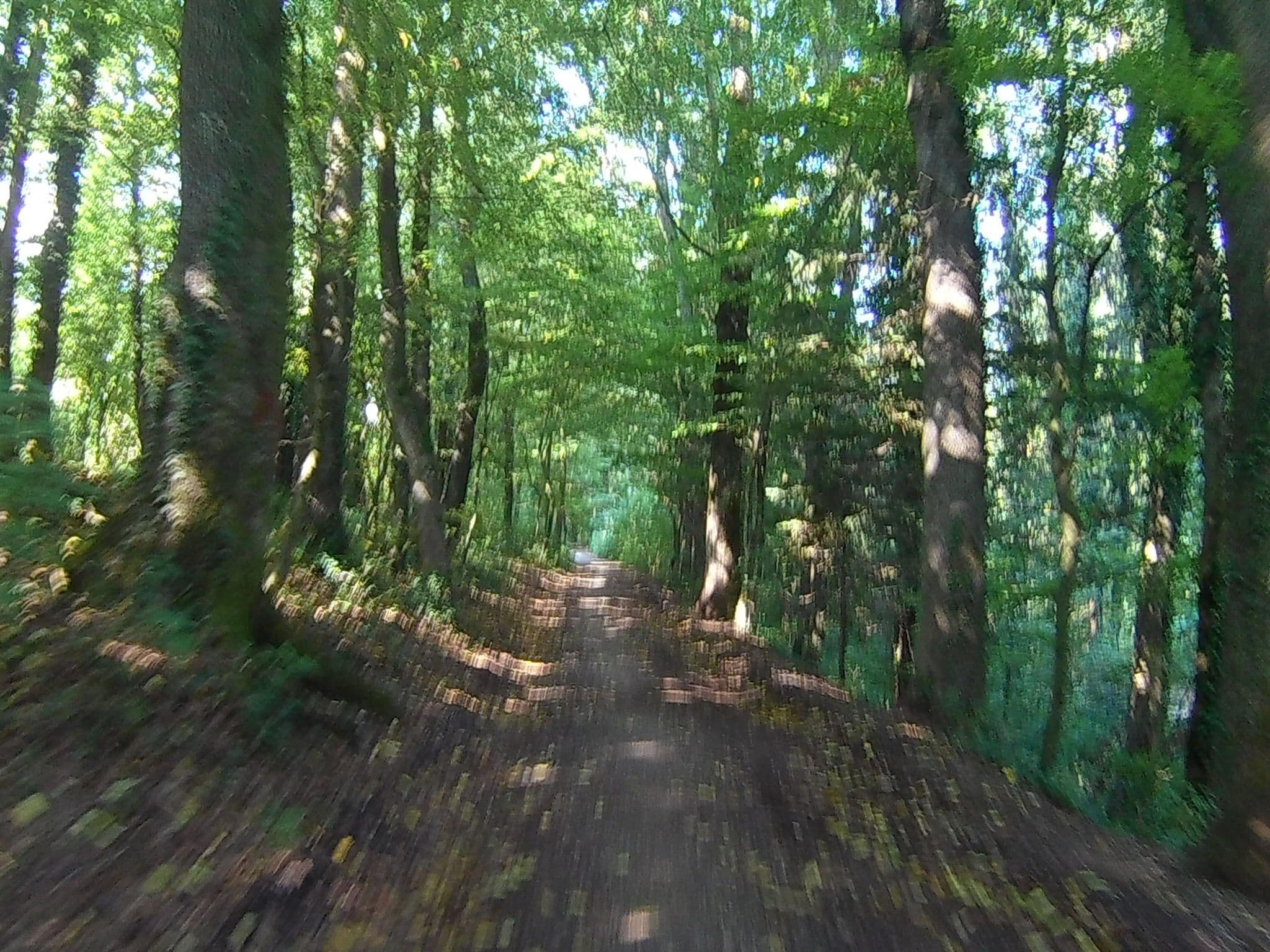 Street view near Chocolate village by the river, Limbuš — © buma (CC BY-SA · Mapillary)
