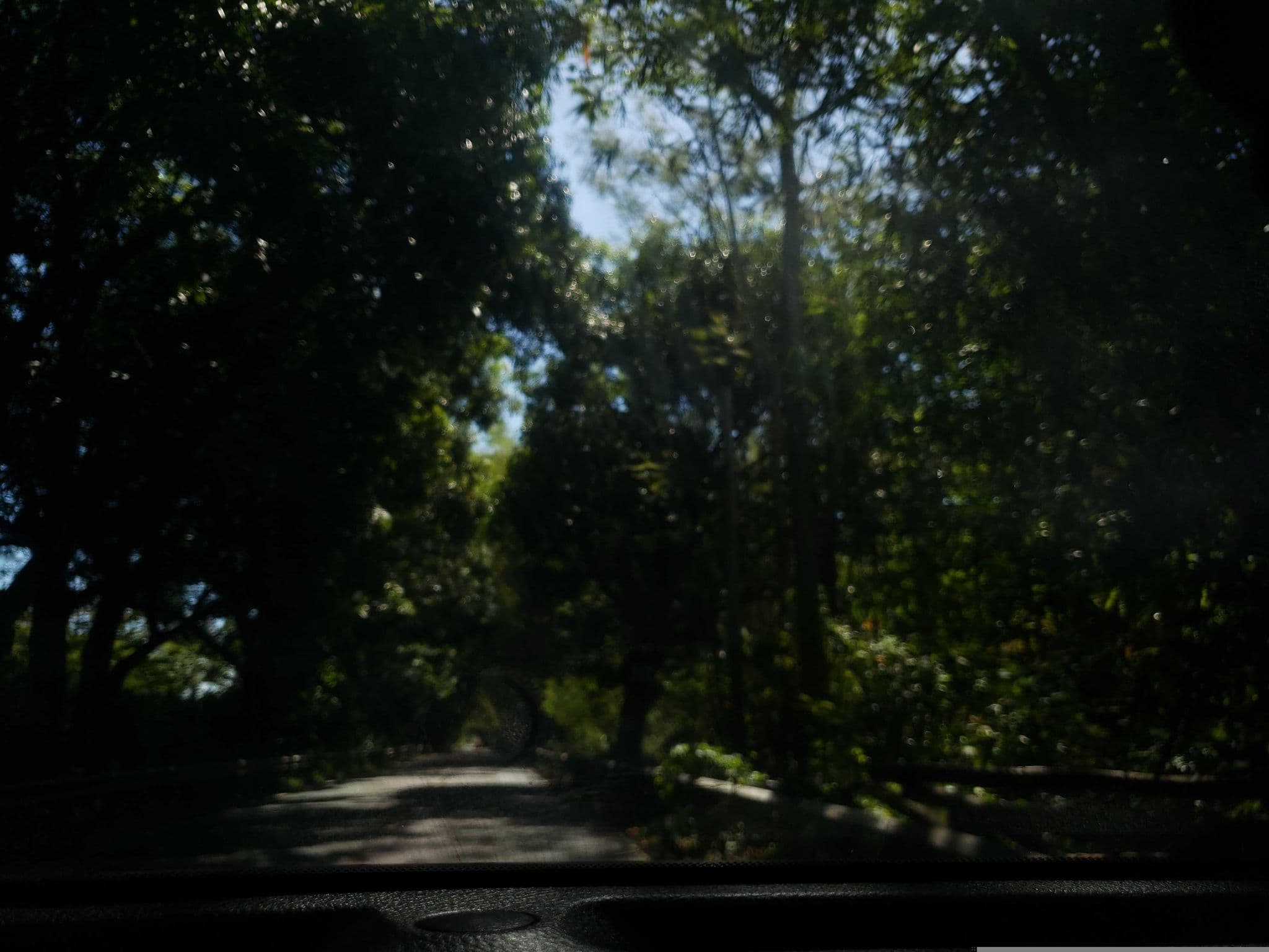 Street view near Hotel Rincon, La Playa — © guyutetube (CC BY-SA · Mapillary)