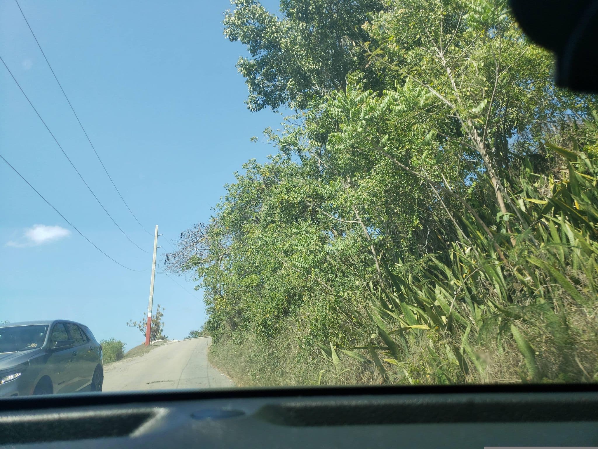 Street view near Villa Playa Maria (Maria's Beach Villas), Rincón — © guyutetube (CC BY-SA · Mapillary)