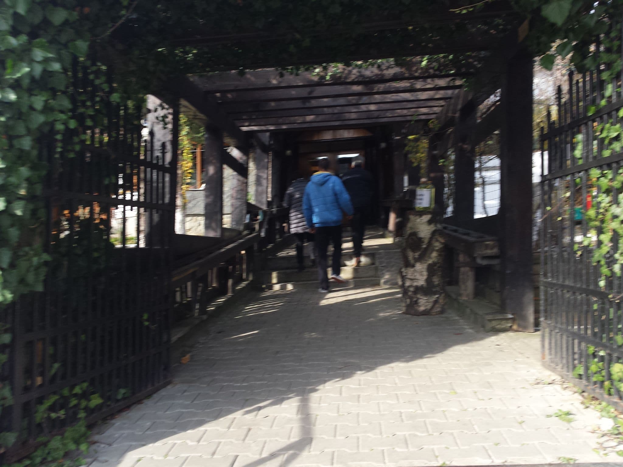 Street view near Gura Diham, Azuga — © rsandu (CC BY-SA · Mapillary)
