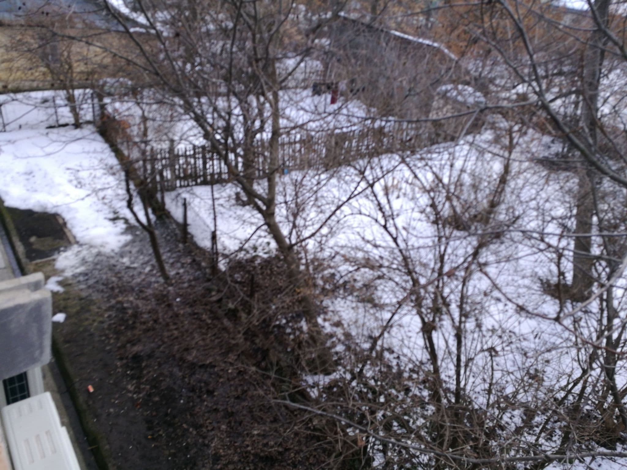 Street view near Hotel Continental, Suceava — © rsandu (CC BY-SA · Mapillary)