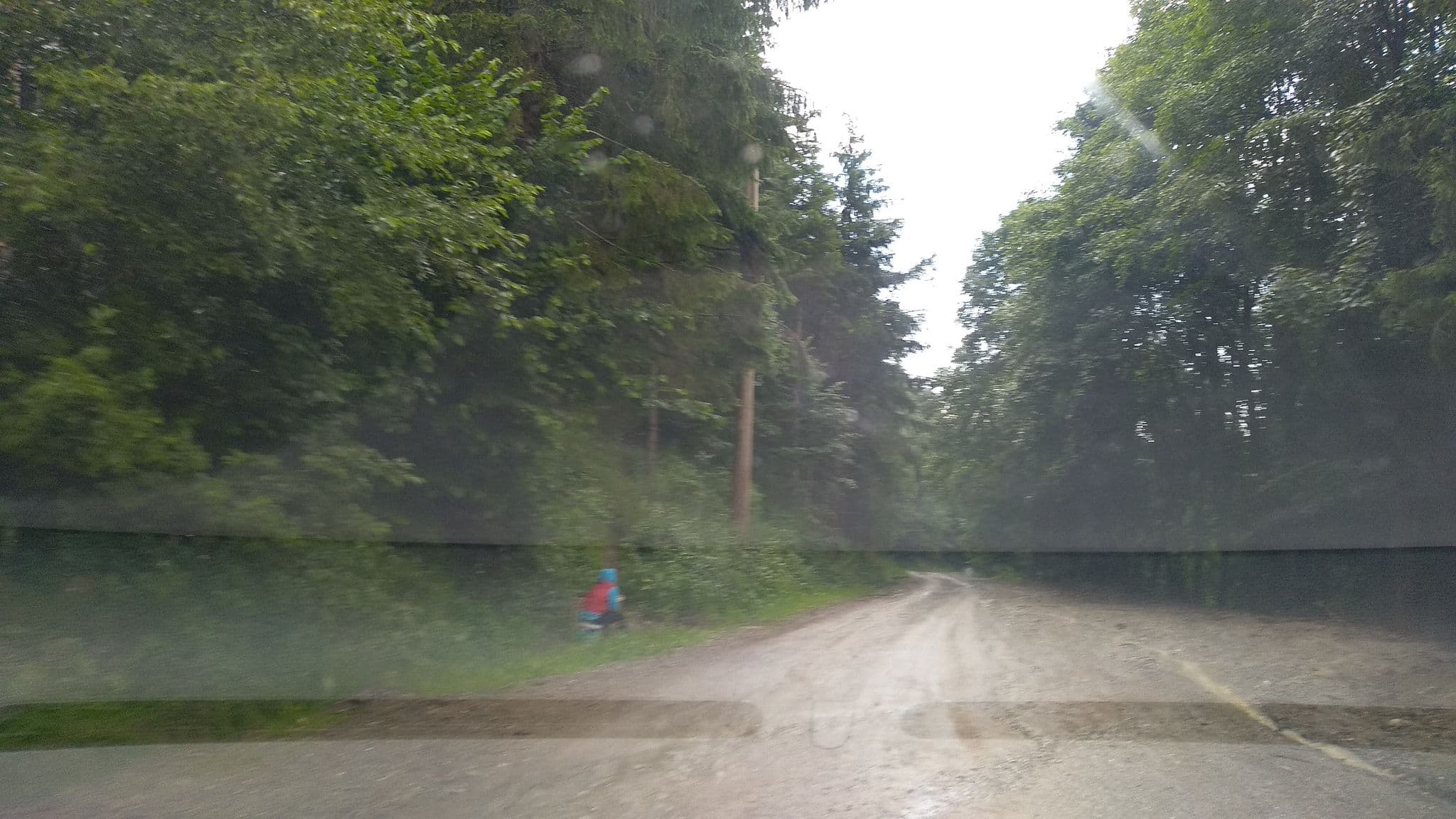 Street view near Canton Cârnic, Râu de Mori — © tavi (CC BY-SA · Mapillary)