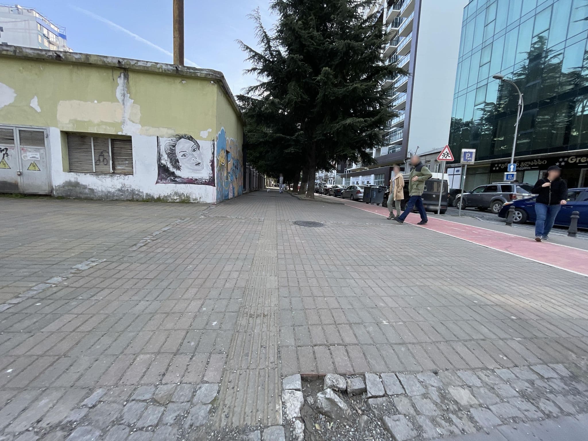 Street view near Hotel Green Glass, Batumi — © egorka (CC BY-SA · Mapillary)