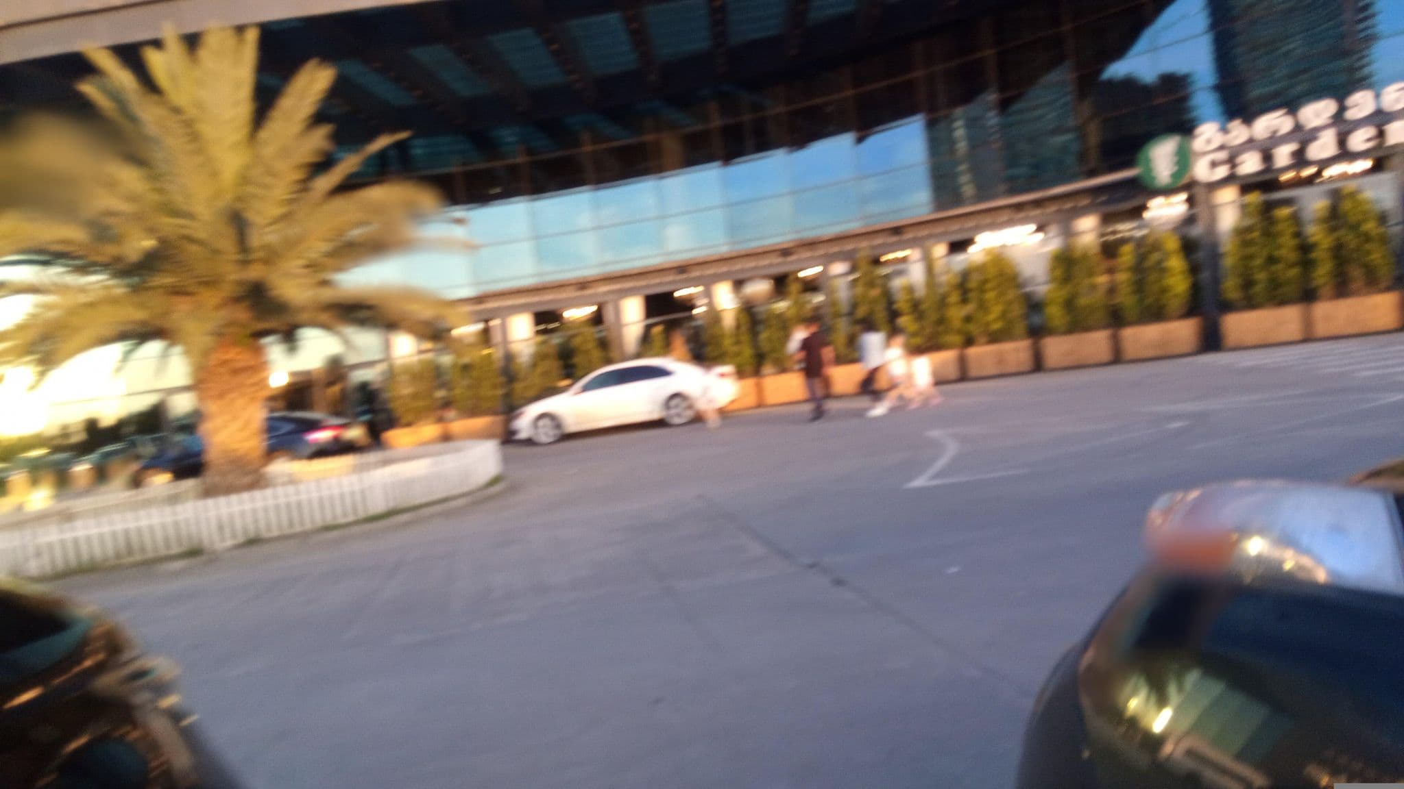 Street view near Euphoria Hotel Batumi, Batumi — © shoorick (CC BY-SA · Mapillary)
