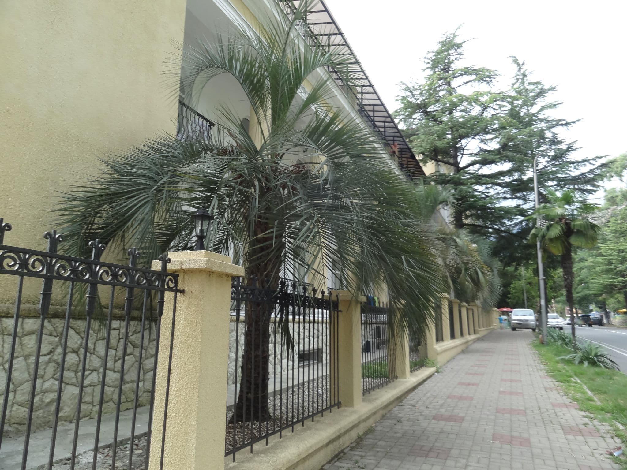Street view near Дом отдыха «Пограничник», Gagra — © putevodz (CC BY-SA · Mapillary)