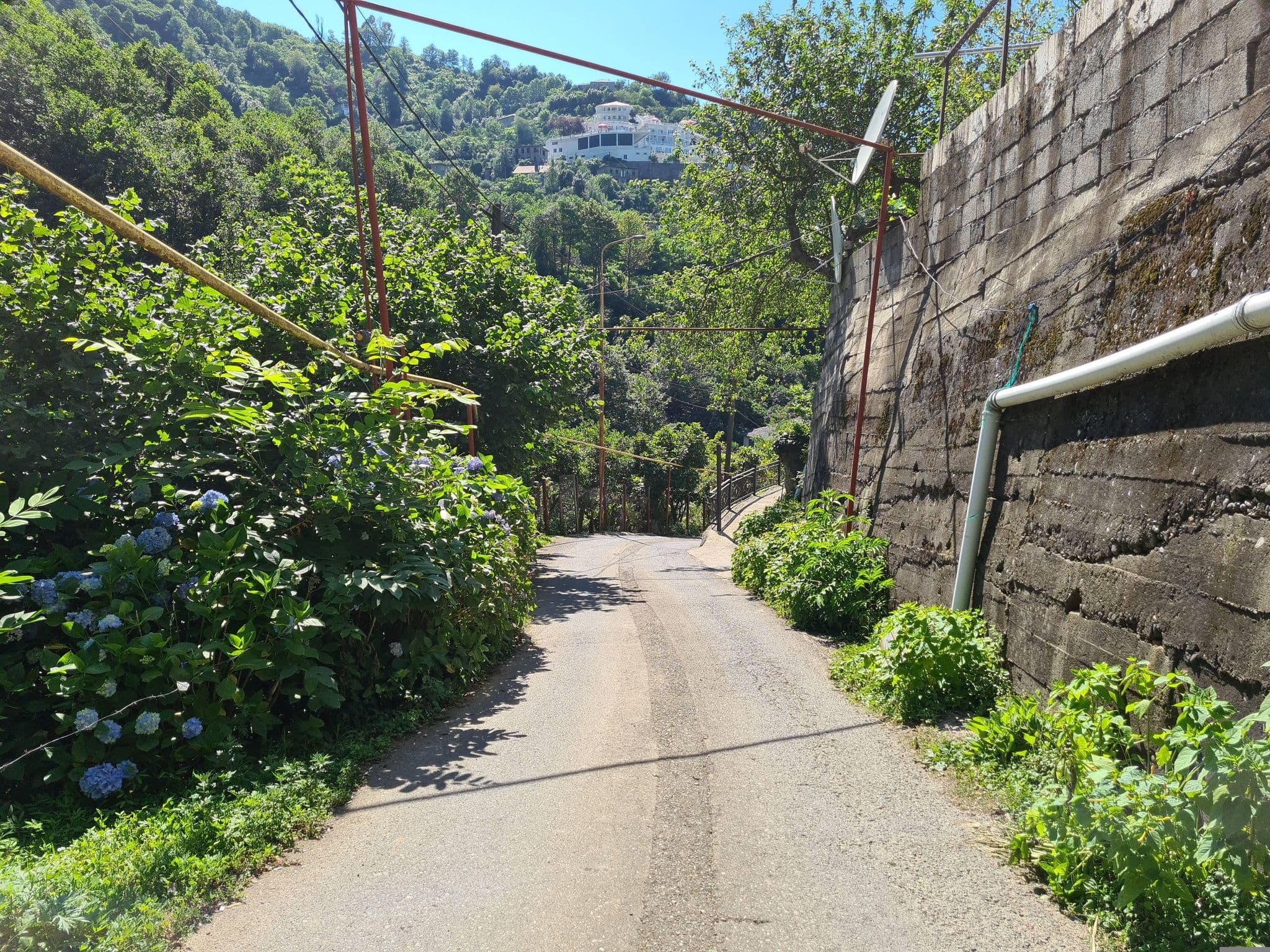 Street view near Gabriel Palas, Batumi — © leesoft (CC BY-SA · Mapillary)