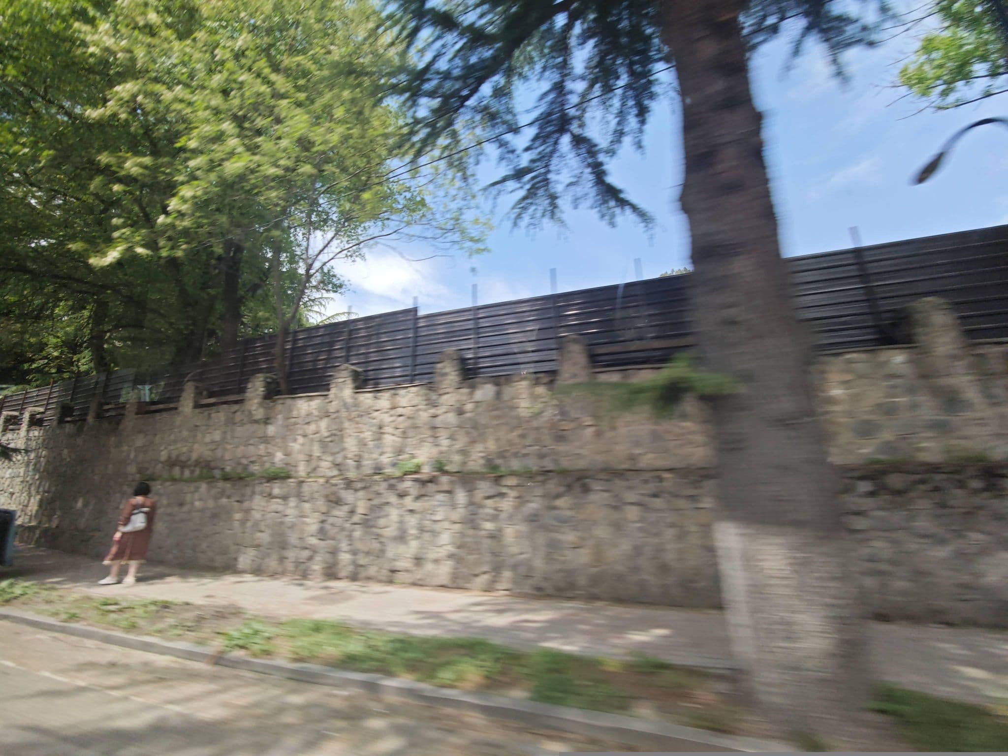Street view near Borjomis Kheoba | ბორჯომის ხეობა, Borjomi — © emptychild (CC BY-SA · Mapillary)