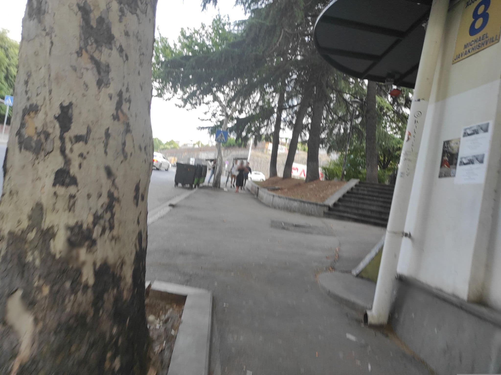 Street view near Hotel Rose Flamingo, Okroq’ana — © David_Osipov (CC BY-SA · Mapillary)