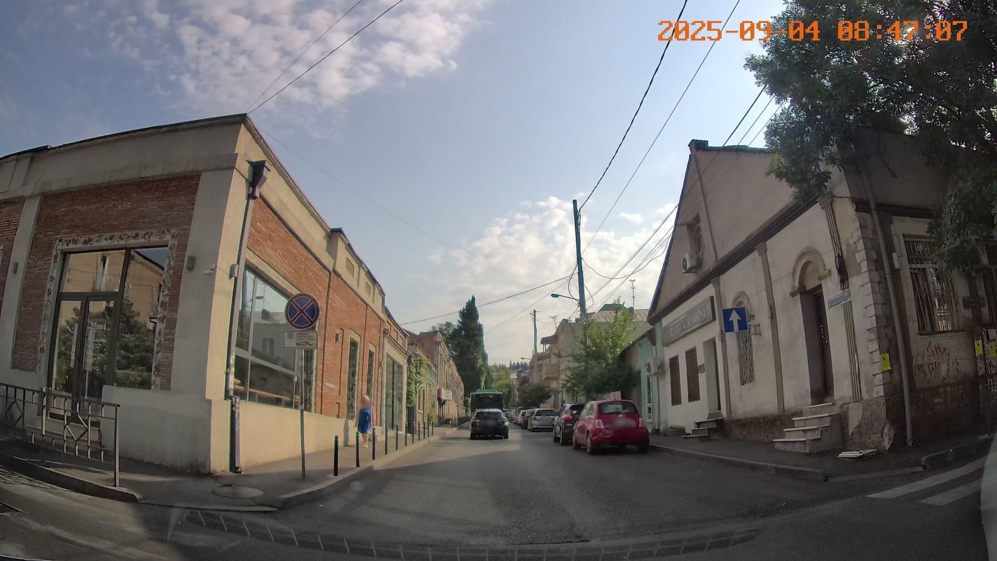 Street view near Golden Point Apartments, Tbilisi — © bdgwl (CC BY-SA · Mapillary)