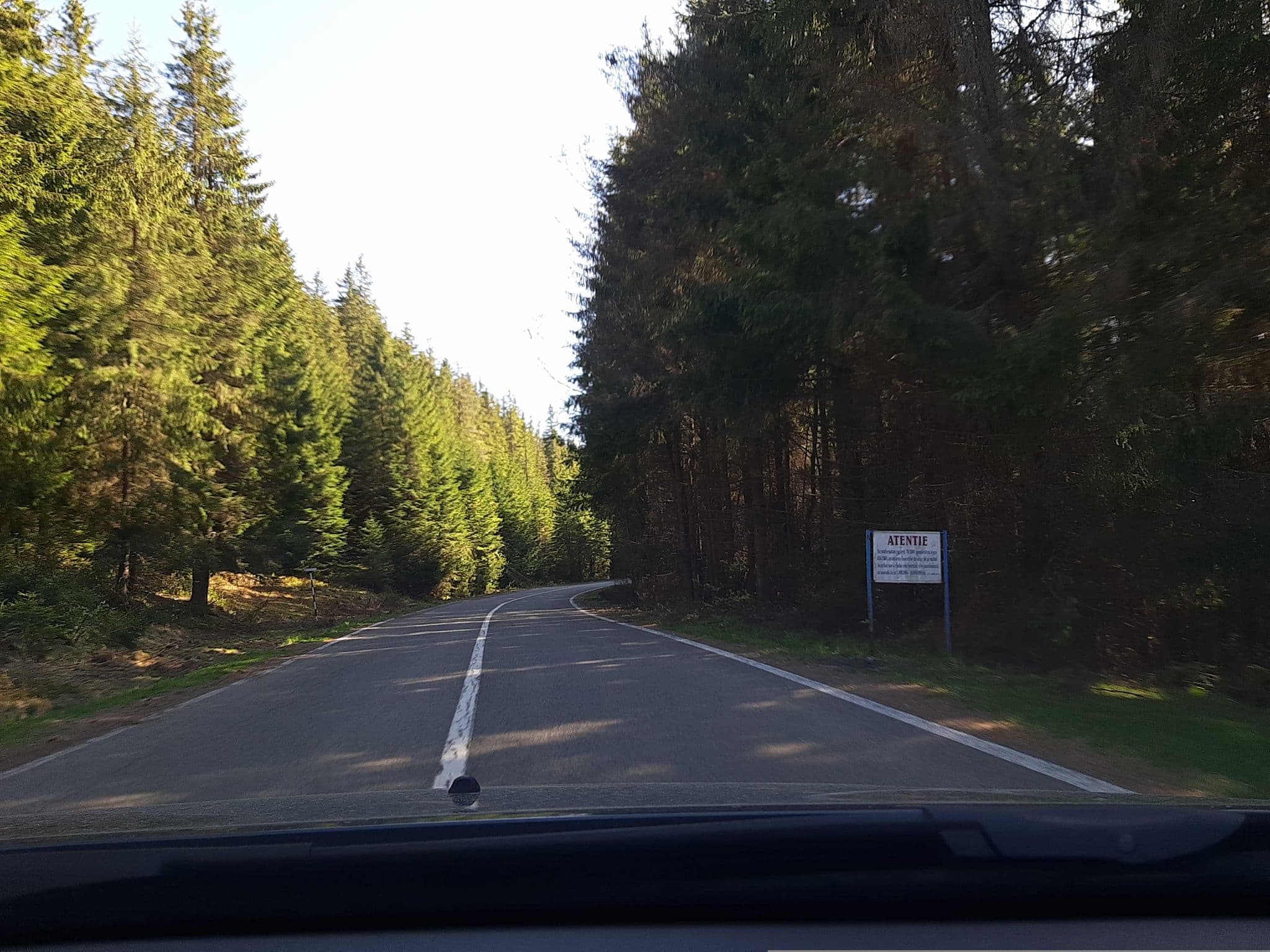 Street view near Cabana Oașa, Şugag — © viorel (CC BY-SA · Mapillary)