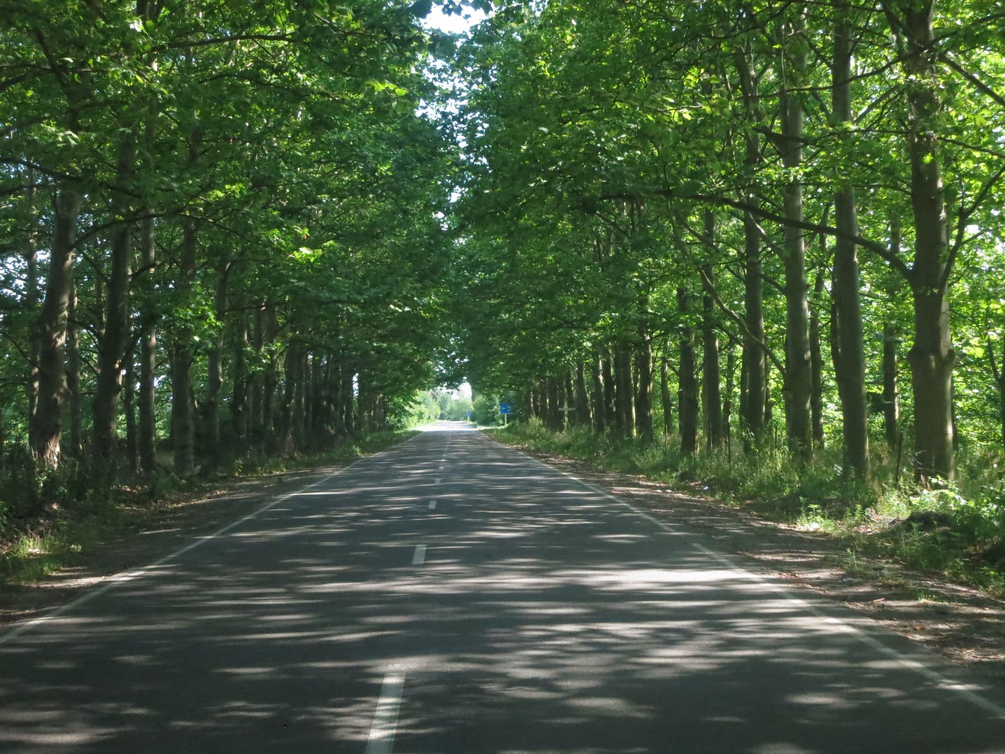 Street view near Nekresi Estate, Kvareli — © lto (CC BY-SA · Mapillary)