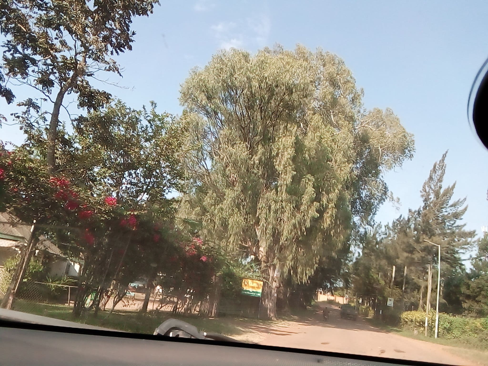 Street view near Villa Katwe, Masaka — © ngumenawesamson (CC BY-SA · Mapillary)