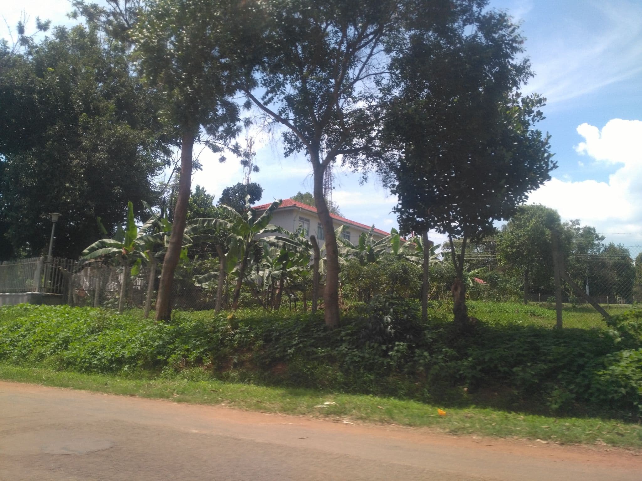 Street view near Admas Grand Hotel, Entebbe — © ralebipim (CC BY-SA · Mapillary)