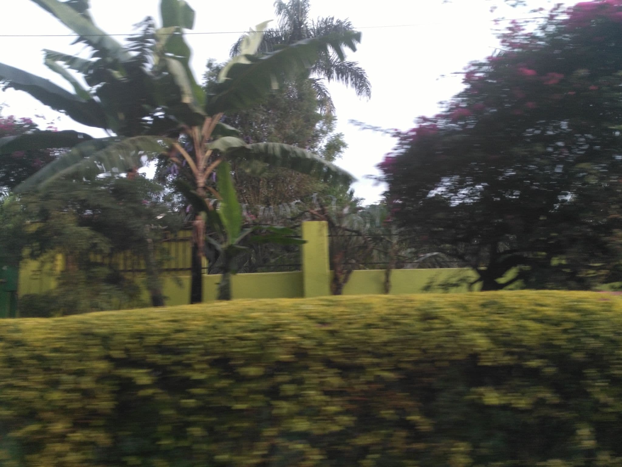 Street view near Source of the Smile, Jinja — © ralebipim (CC BY-SA · Mapillary)