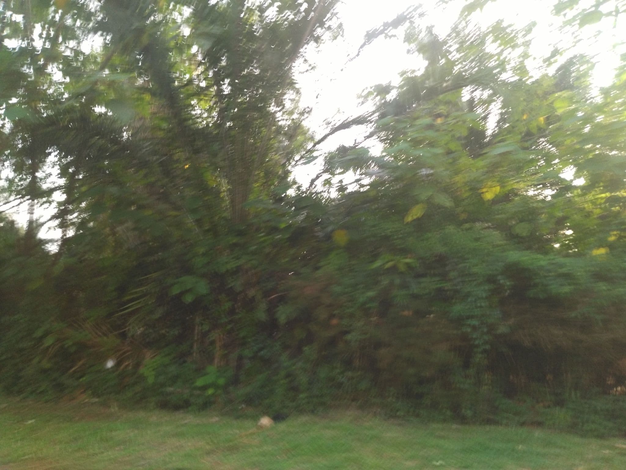 Street view near 2 Friends Motel, Jinja — © ralebipim (CC BY-SA · Mapillary)
