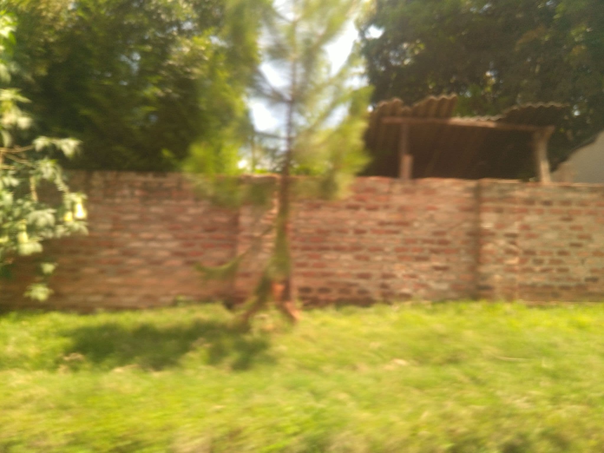 Street view near Green Valley Guest House & Backpackers, Entebbe — © ralebipim (CC BY-SA · Mapillary)
