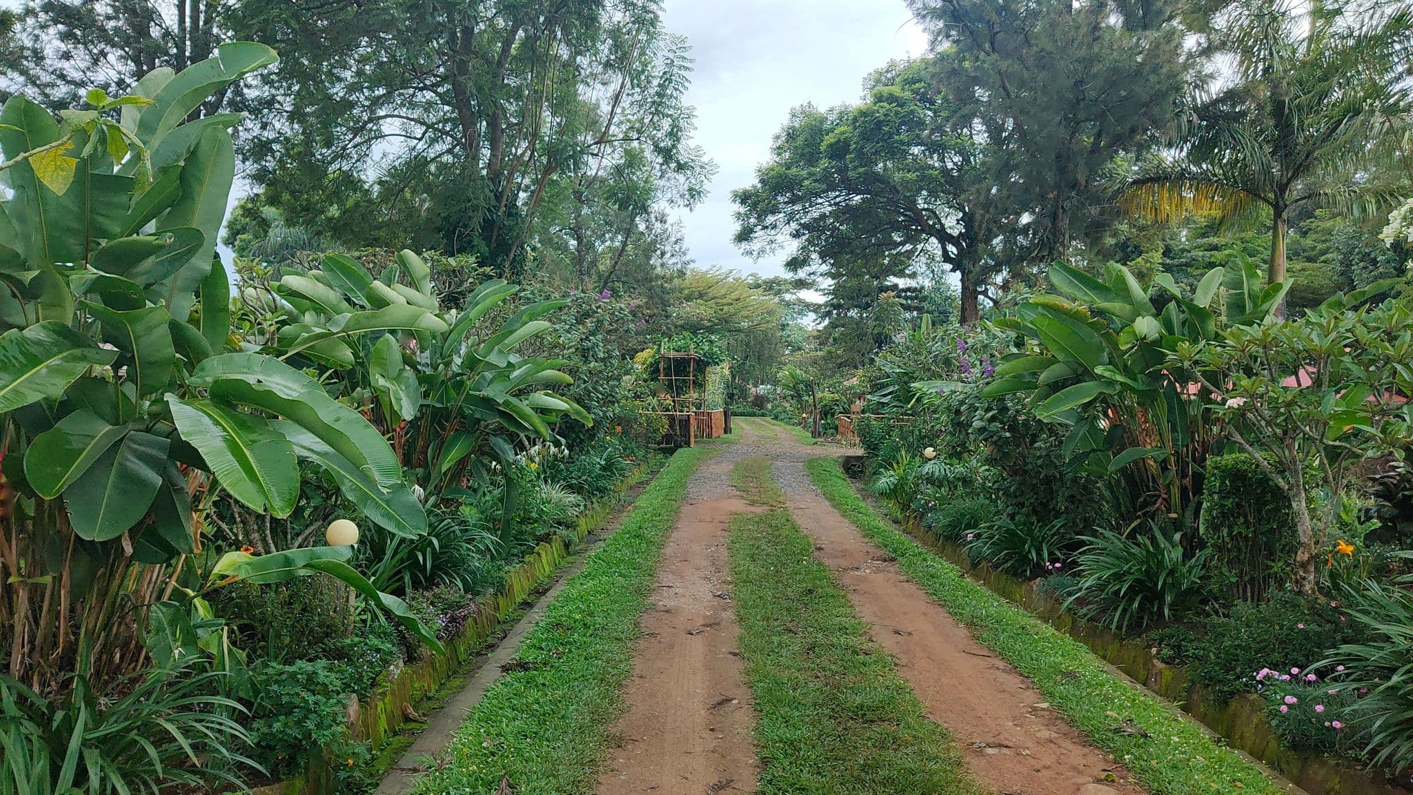 Street view near Kluge's Guest Farm, Buhesi — © robzorn (CC BY-SA · Mapillary)