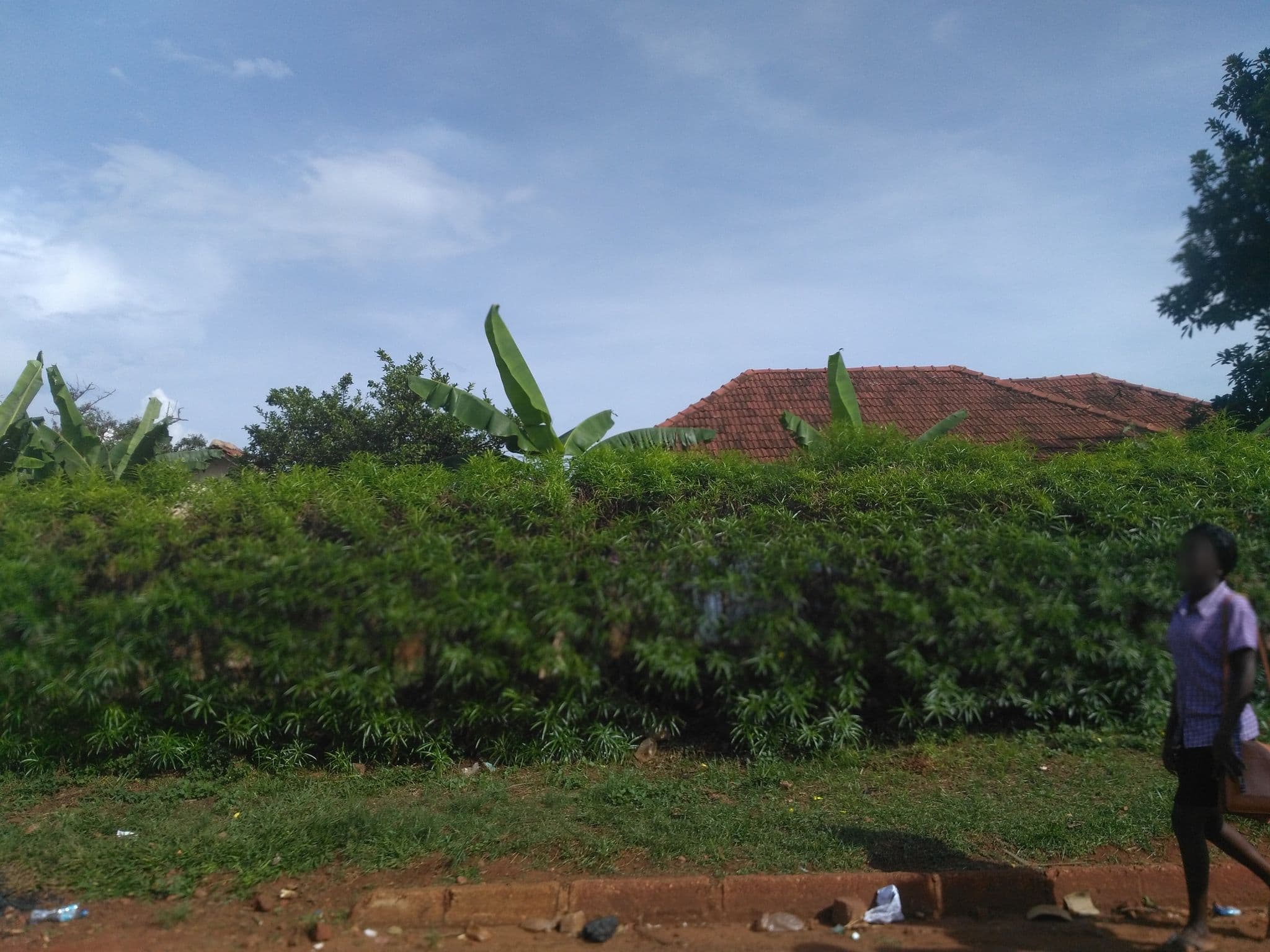 Street view near The Crested Crane Hotel & Tourism Training Institute, Jinja — © ralebipim (CC BY-SA · Mapillary)