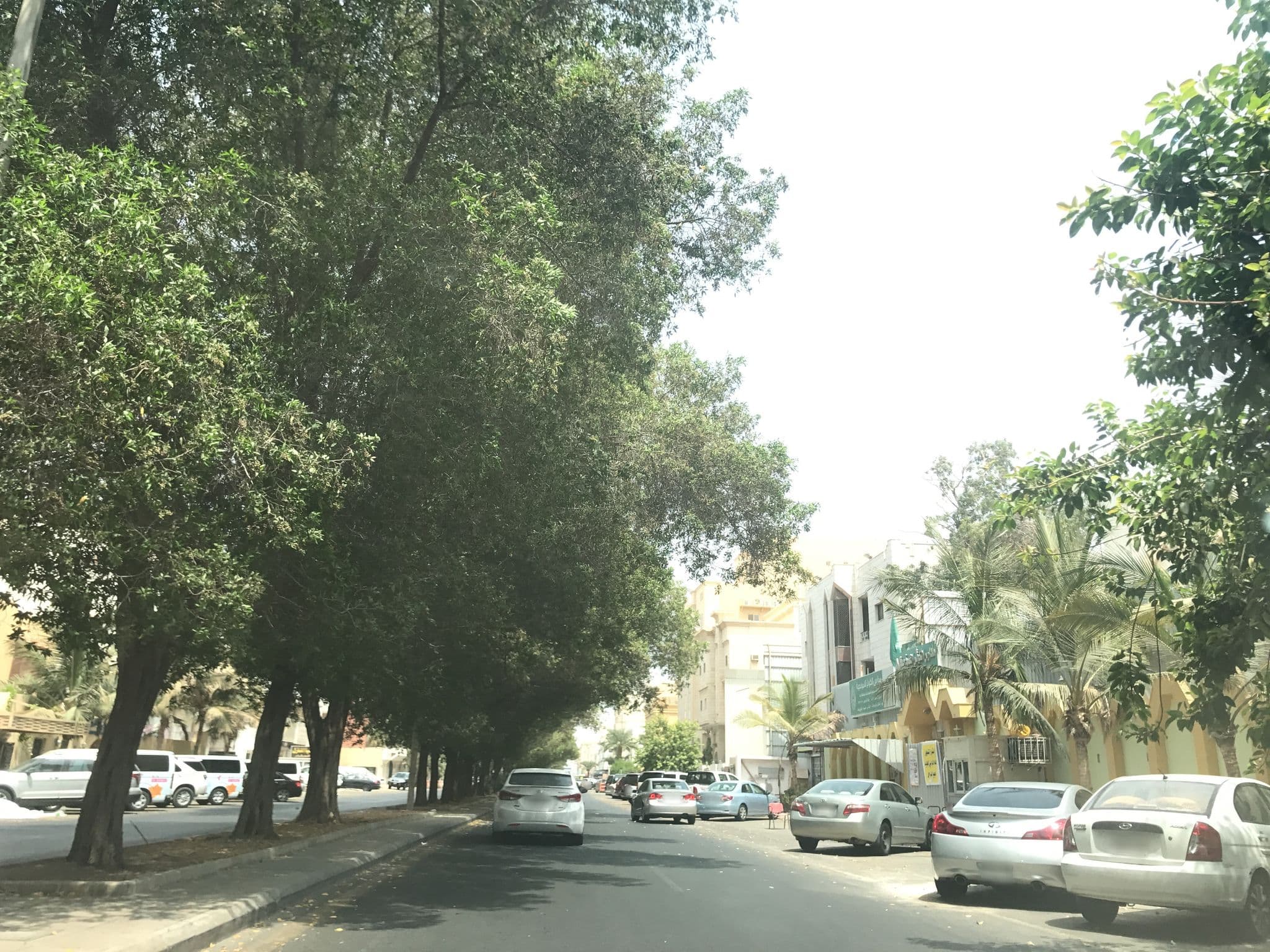 Street view near Rozaio Hotel, Jeddah — © hisham95 (CC BY-SA · Mapillary)