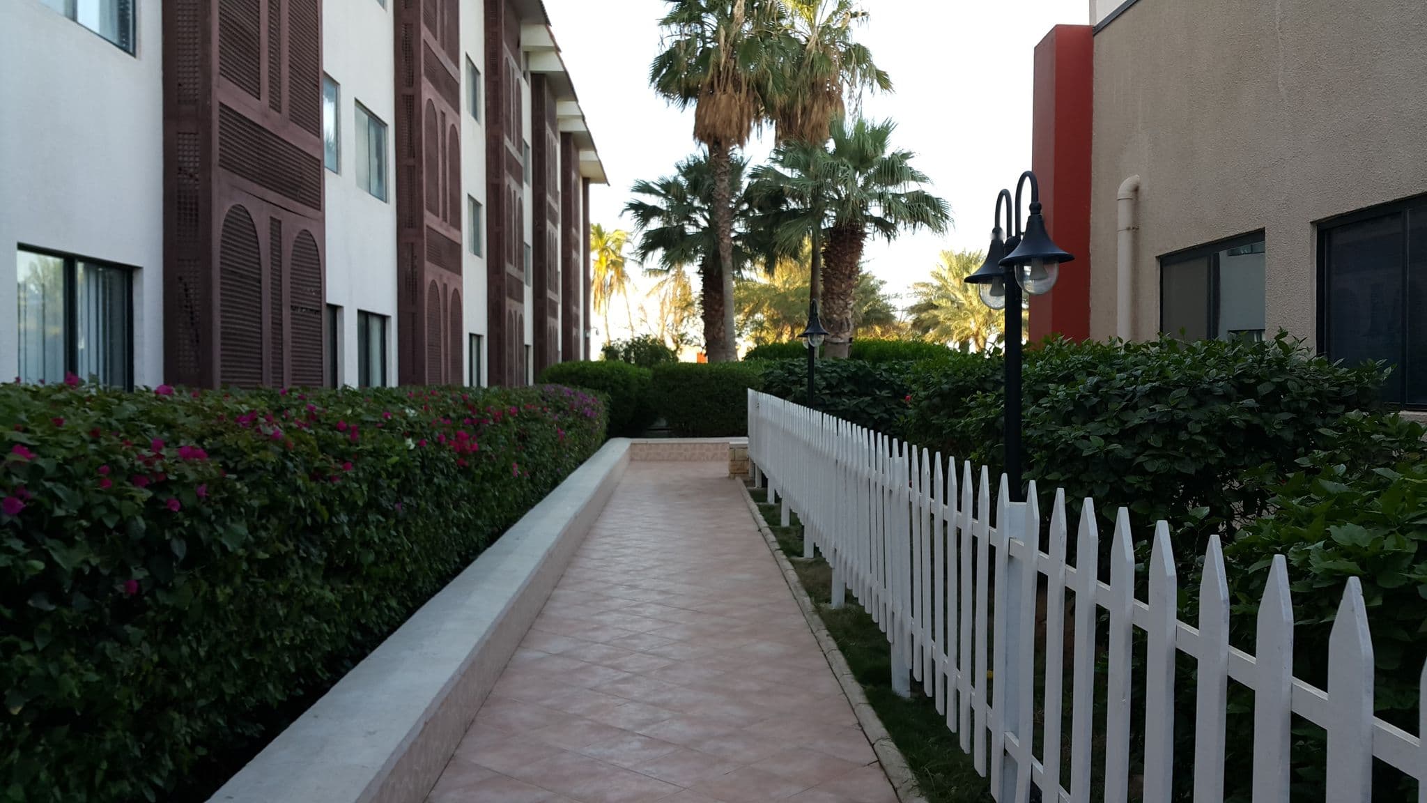 Street view near Radisson Blu Hotel, Yanbu, Yanbu — © zura (CC BY-SA · Mapillary)