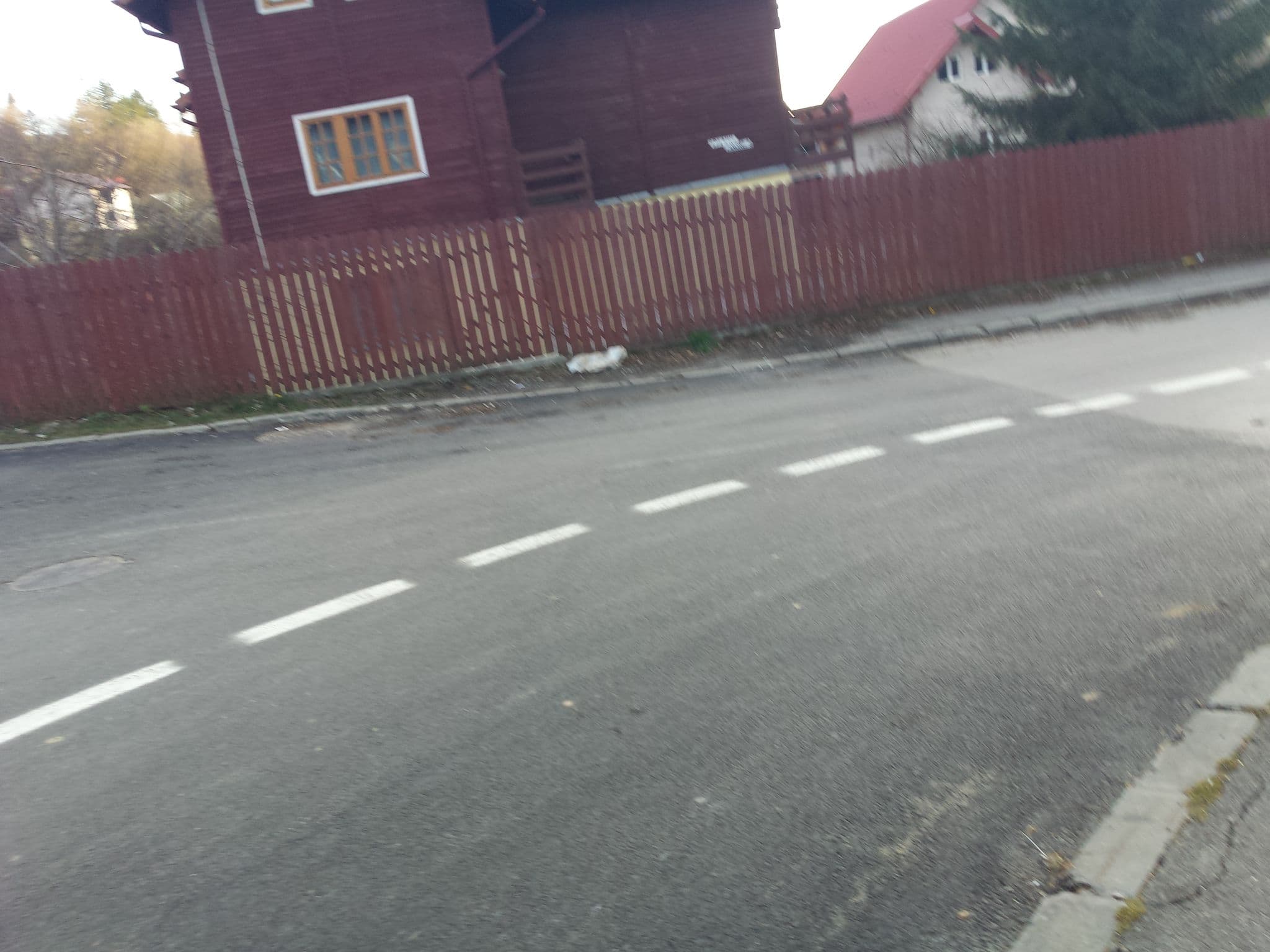 Street view near Hotel Mărgăritar, Poiana Țapului — © rsandu (CC BY-SA · Mapillary)