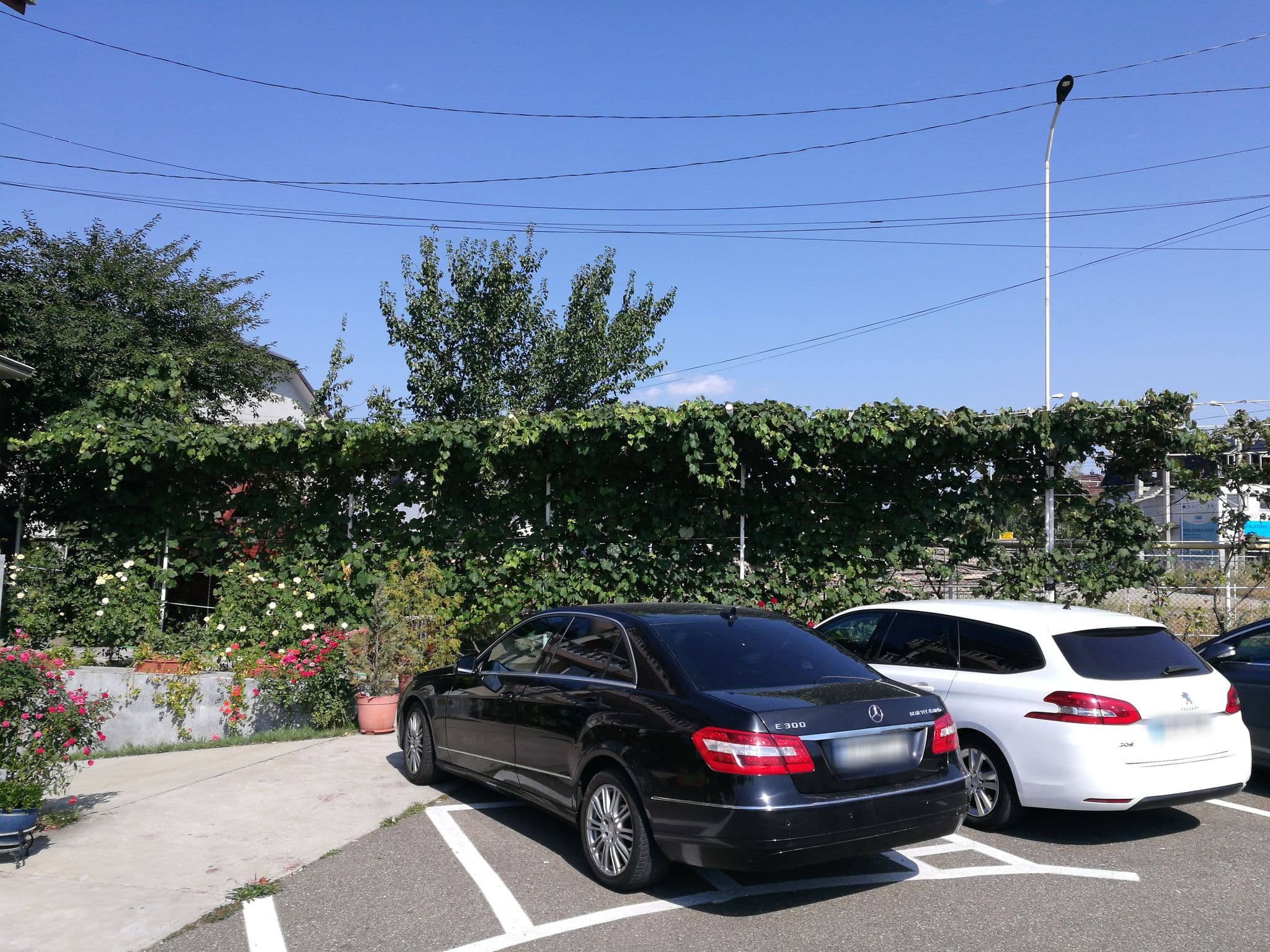 Street view near Pensiunea Cornelius, Cut — © rsandu (CC BY-SA · Mapillary)