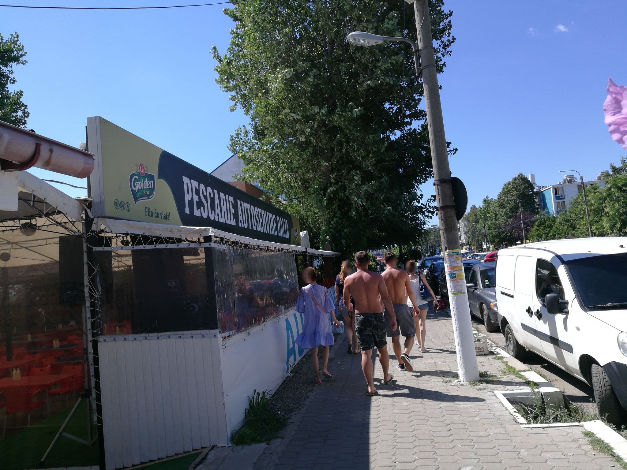 Street view near Vila Violeta, Eforie Nord