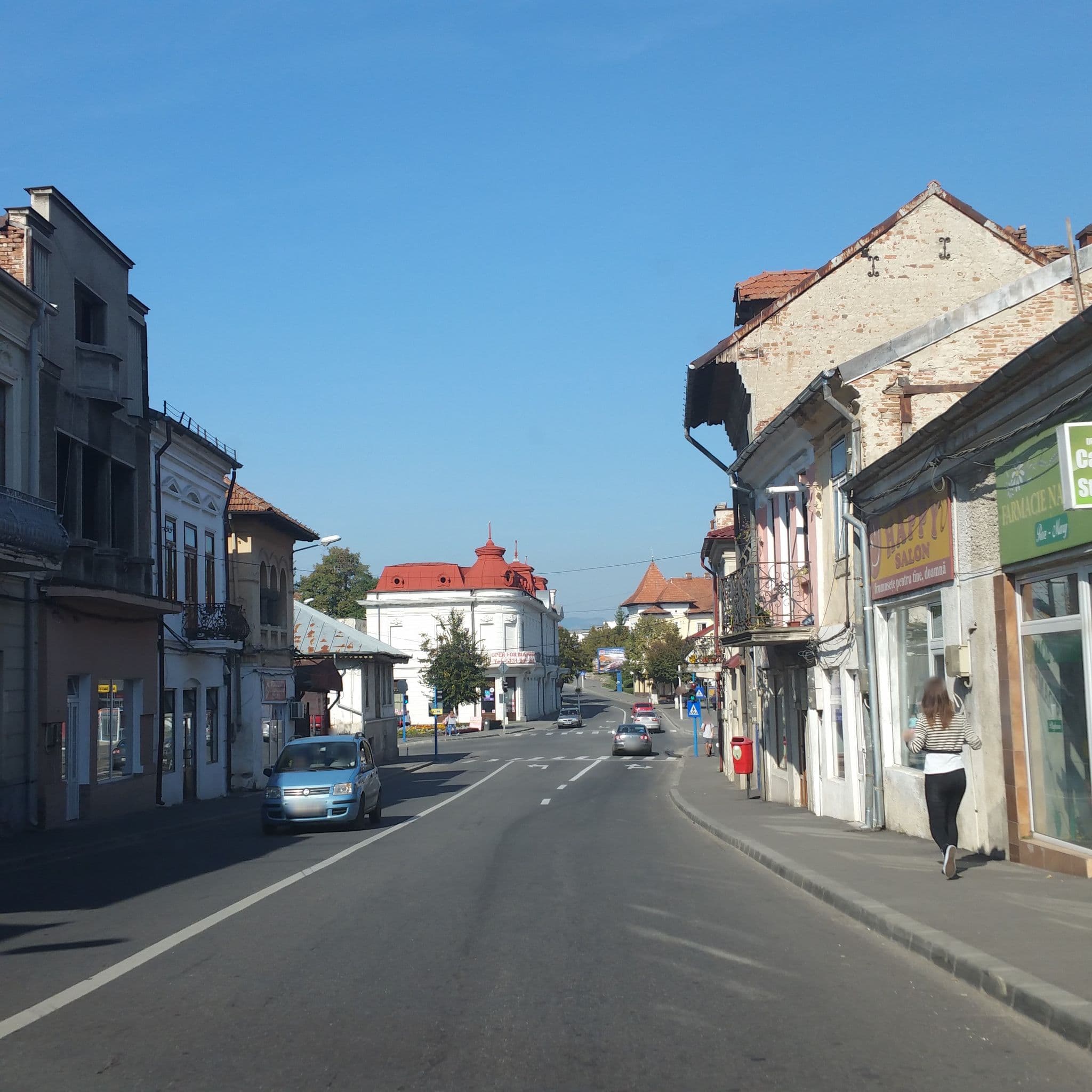 Street view near Pensiunea Mikelis Internațional, Curtea de Argeş — © andreistar (CC BY-SA · Mapillary)