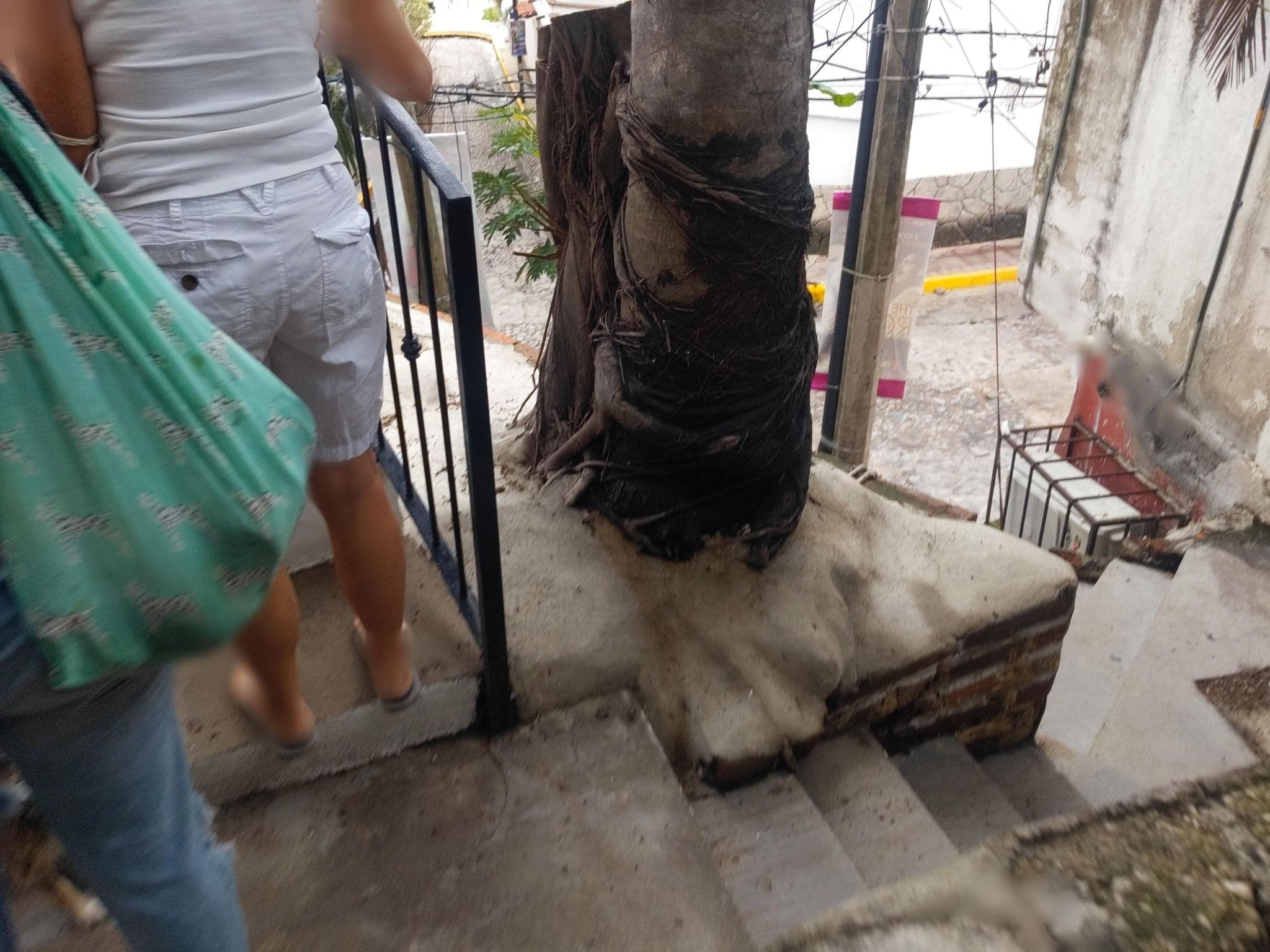 Street view near Brisas Del Mar, Puerto Vallarta — © eneerhut (CC BY-SA · Mapillary)