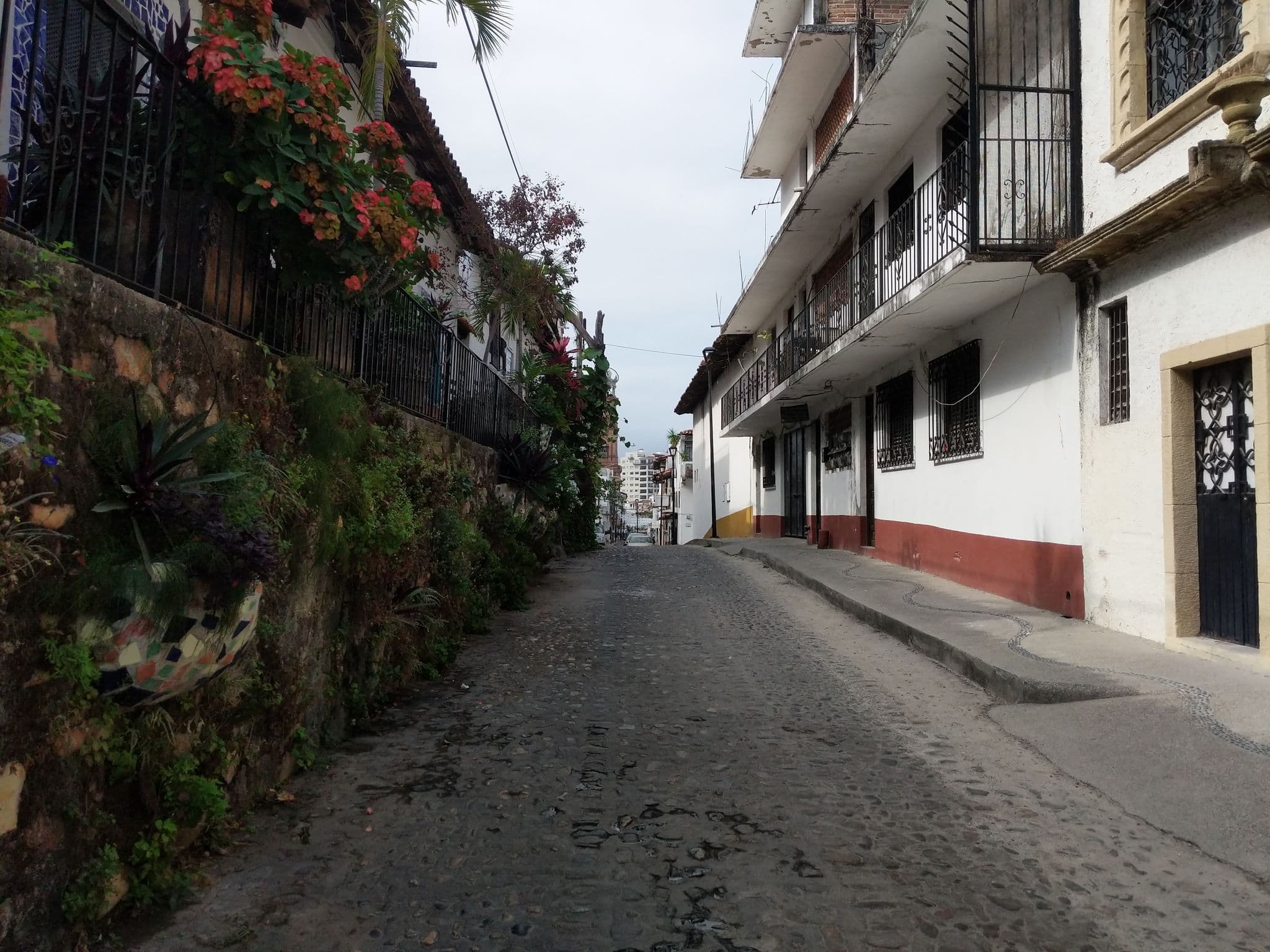 Street view near Promotores Profesionales del Pacifico, Puerto Vallarta — © chrisbeddow (CC BY-SA · Mapillary)