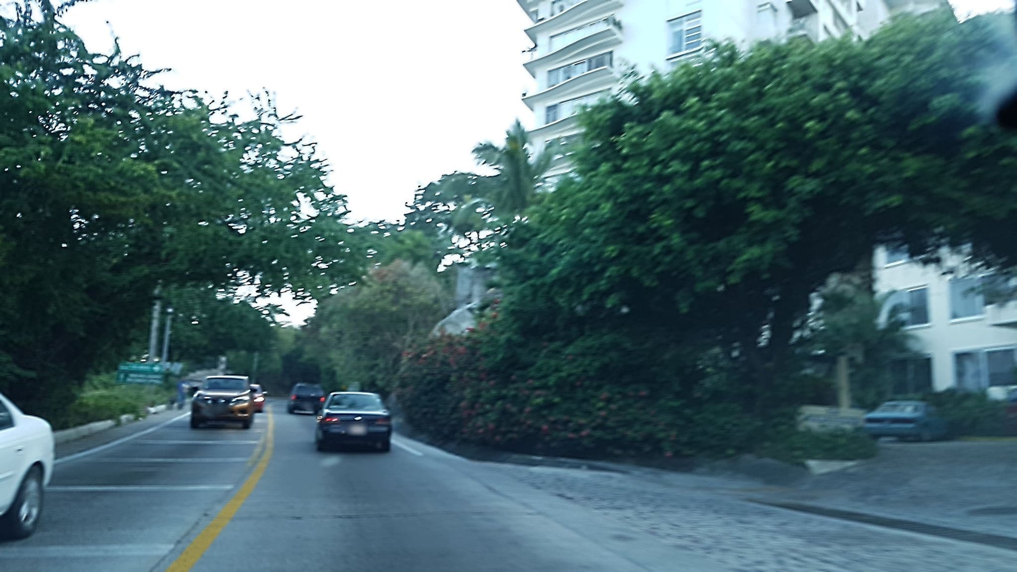 Street view near Hyatt Ziva Puerto Vallarta, Puerto Vallarta — © julgq (CC BY-SA · Mapillary)