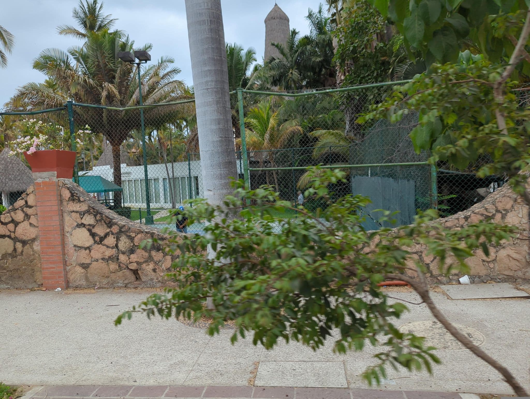 Street view near Hotel Mio Vallarta, Puerto Vallarta — © networklanman (CC BY-SA · Mapillary)