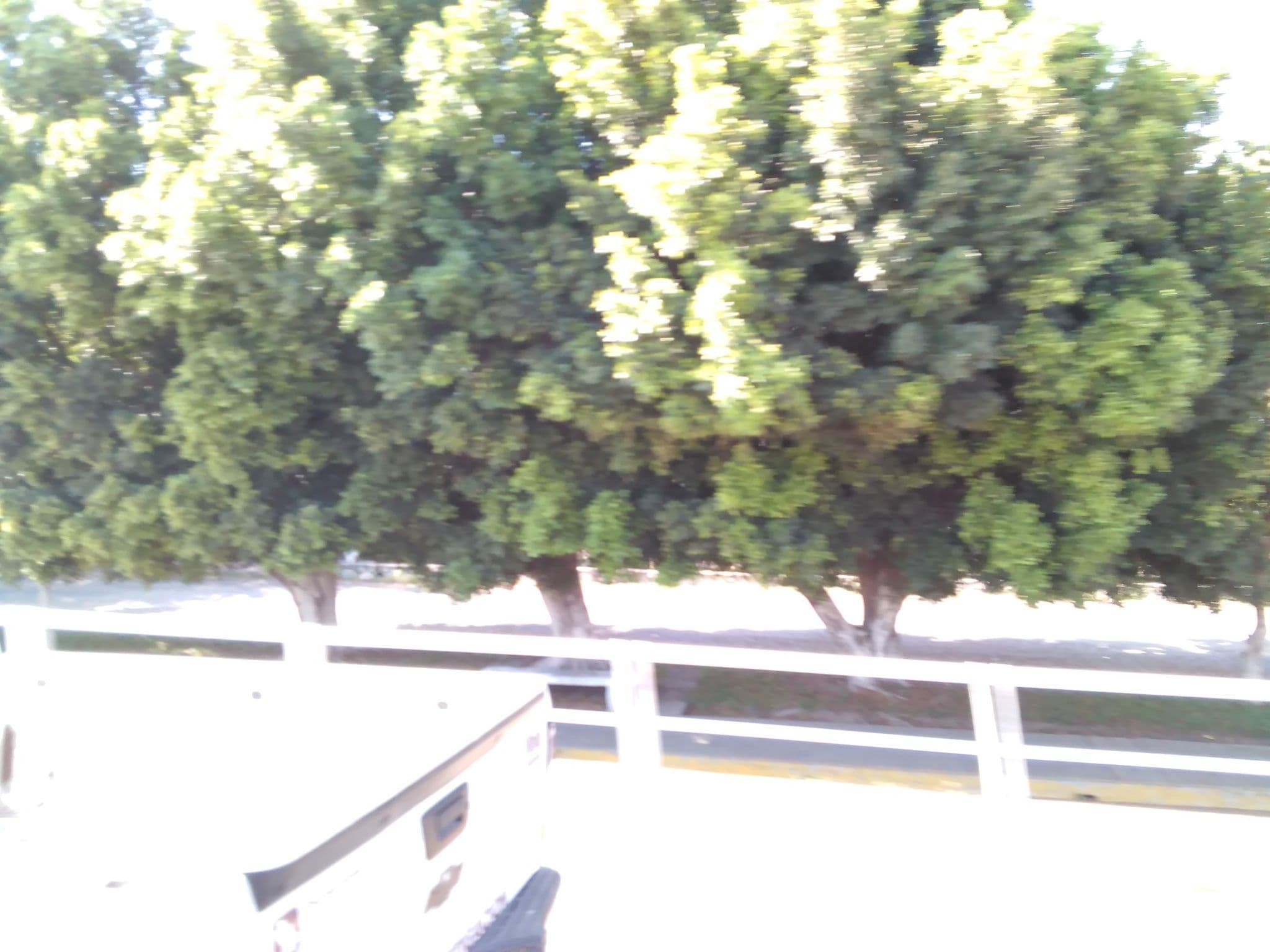 Street view near Hotel Santa Lucia, Tepic — © implantepic (CC BY-SA · Mapillary)