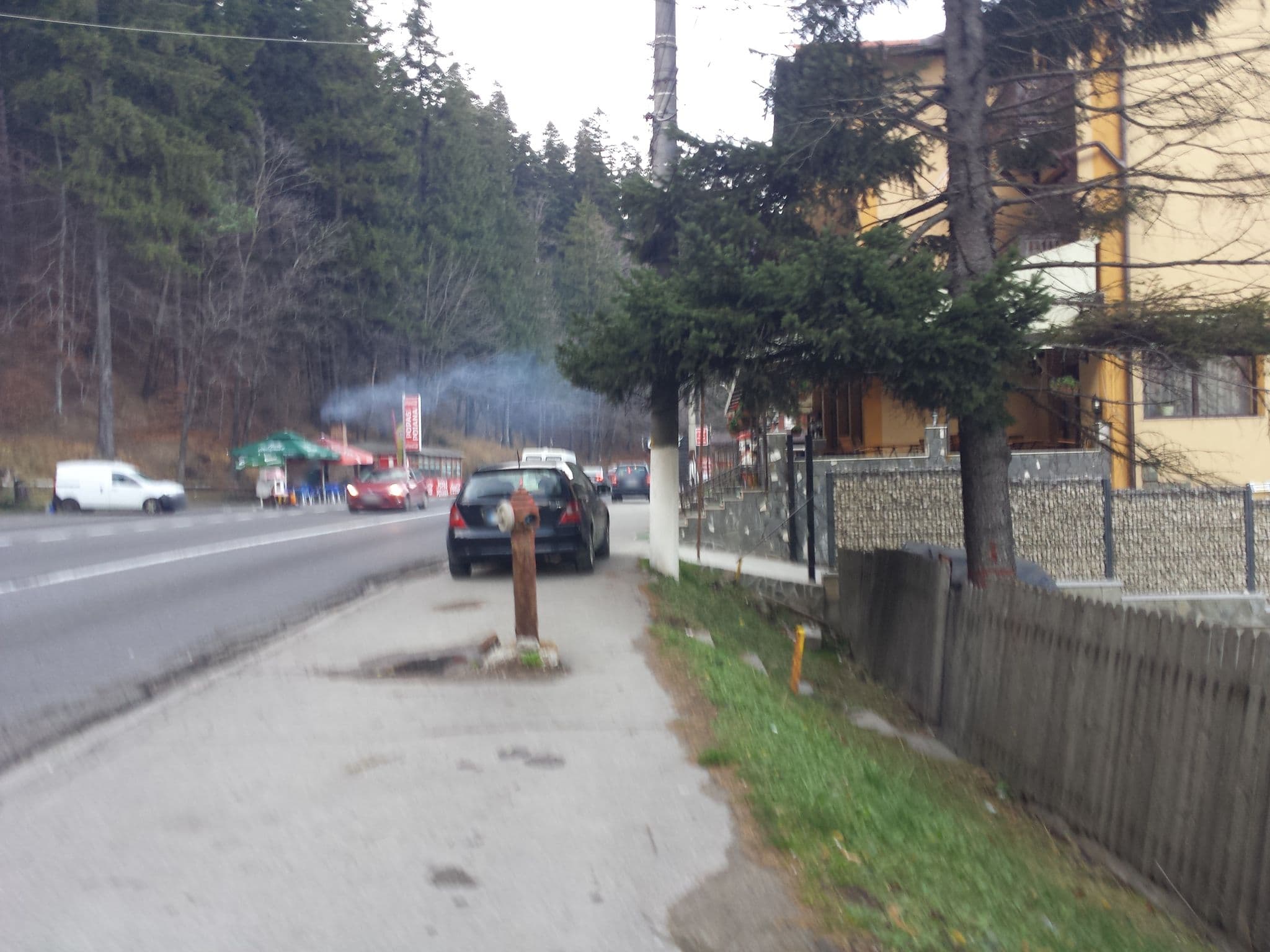 Street view near Popas Poiana, Buşteni
